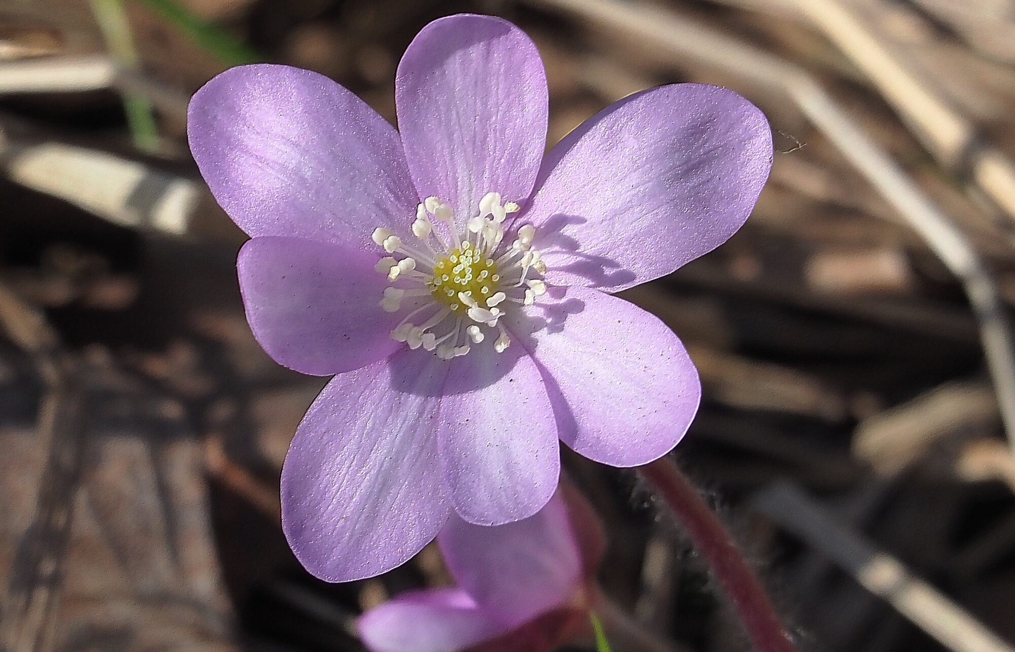 Valokuvaaja: Arja Valtonen