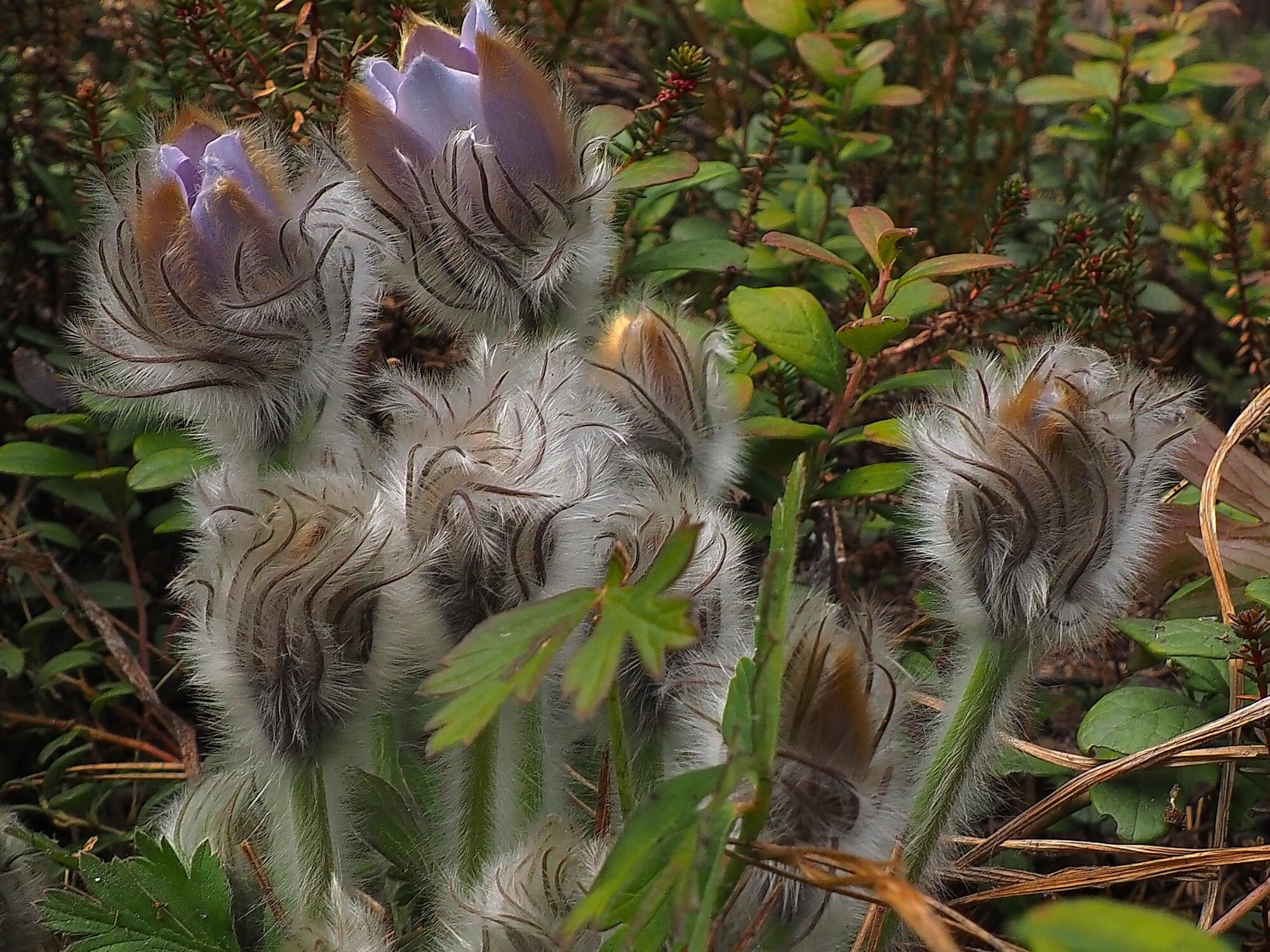 Valokuvaaja: Arja Valtonen