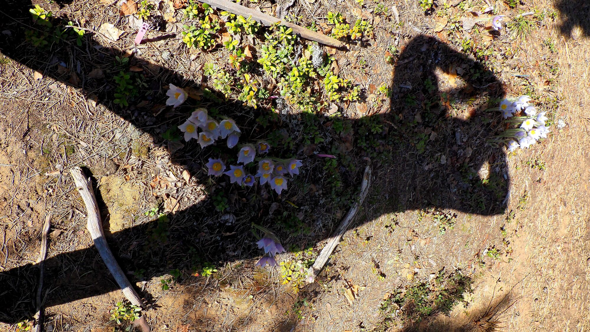 Valokuvaaja: Arja Valtonen