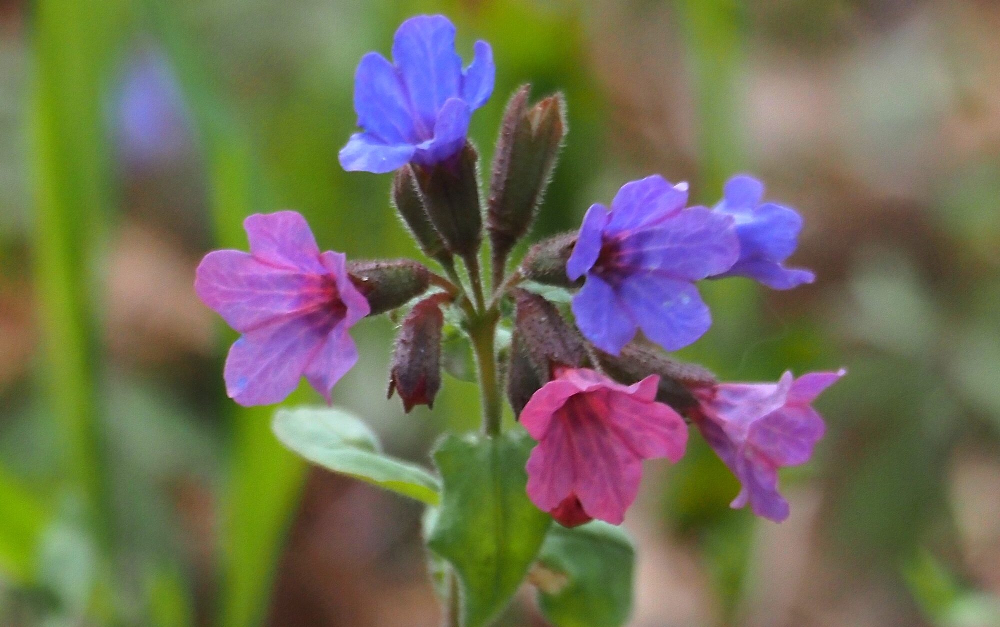 Valokuvaaja: Arja Valtonen