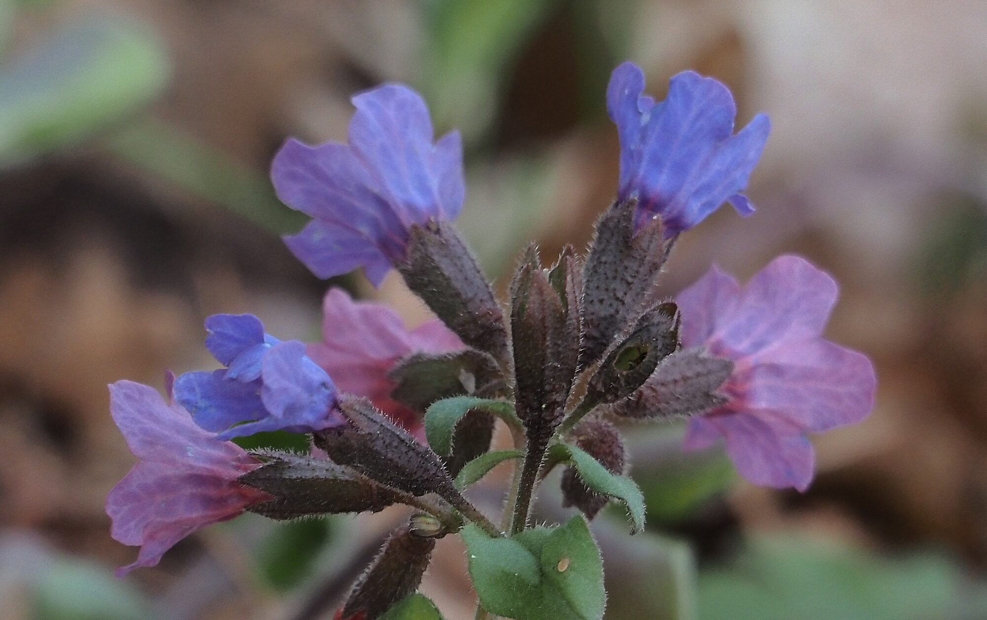 Valokuvaaja: Arja Valtonen