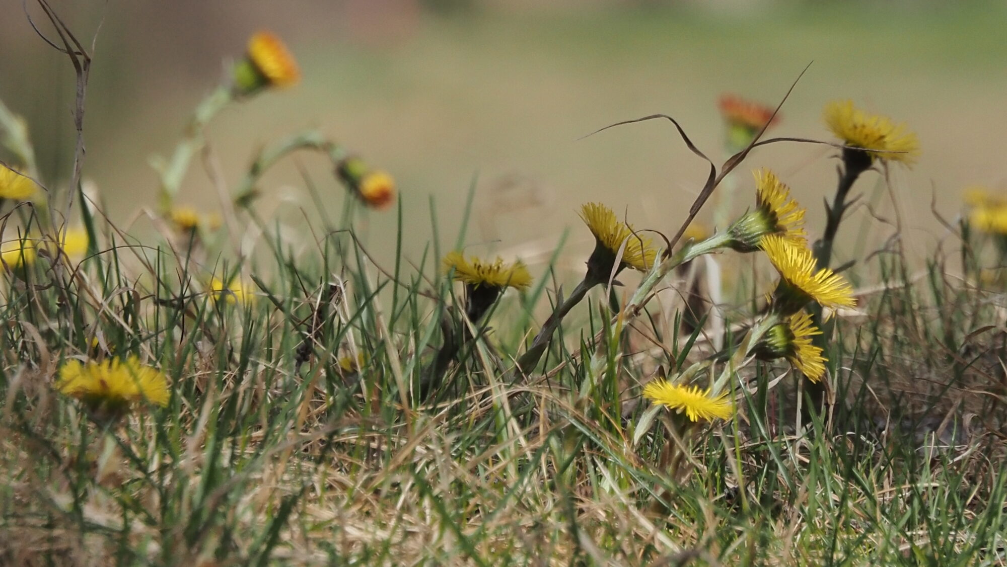 Valokuvaaja: Arja Valtonen