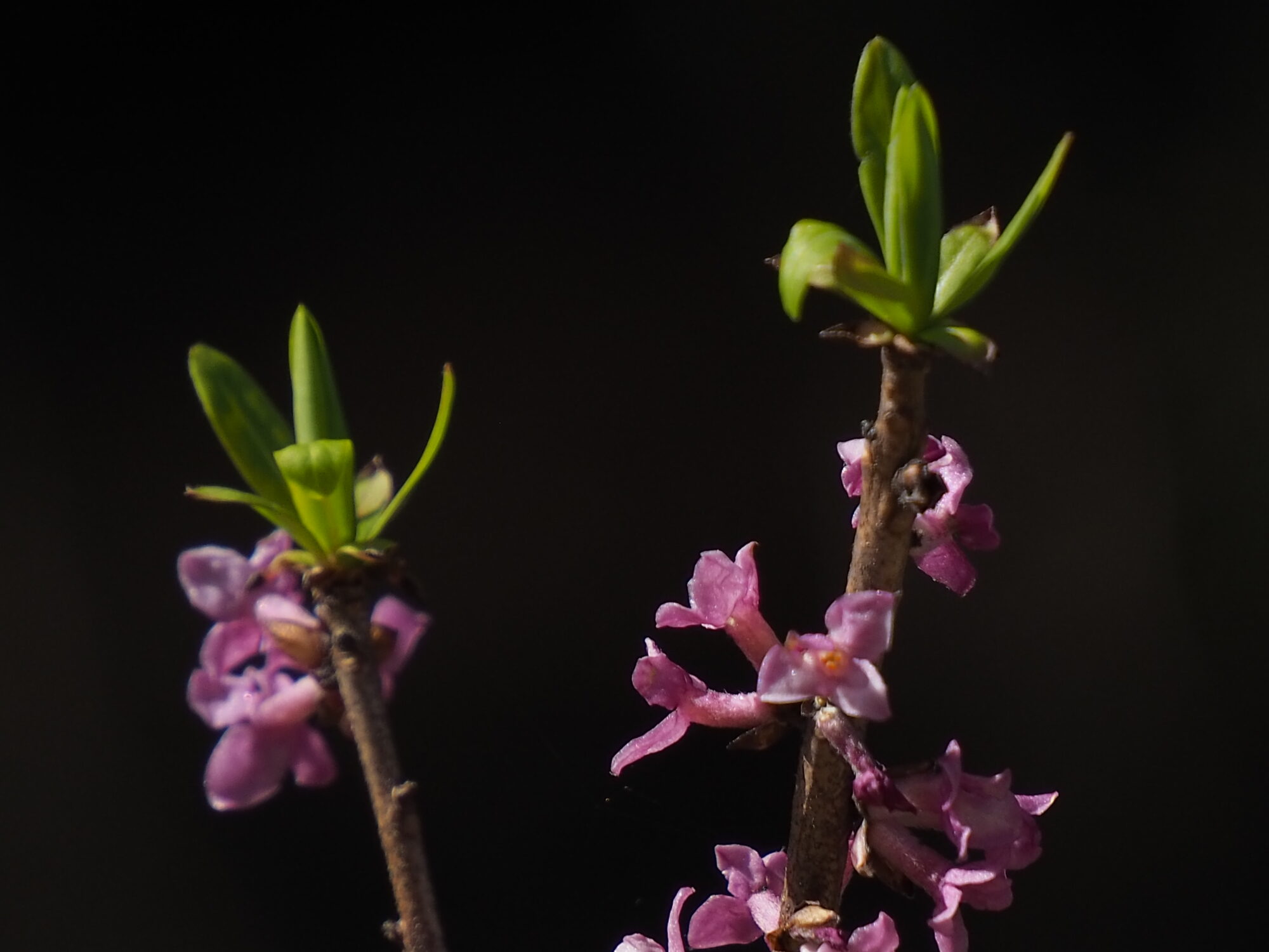 Valokuvaaja: Martti Valtonen