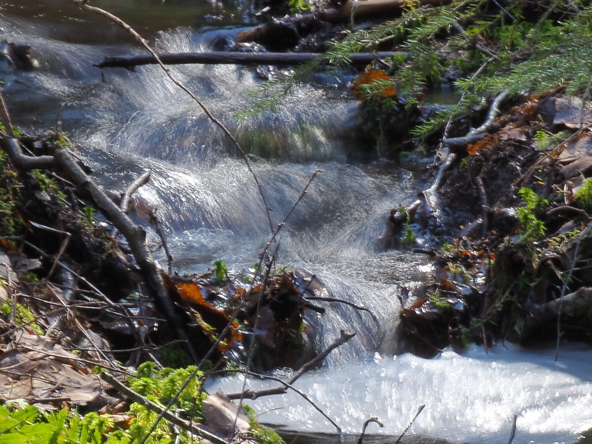 Valokuvaaja: Martti Valtonen