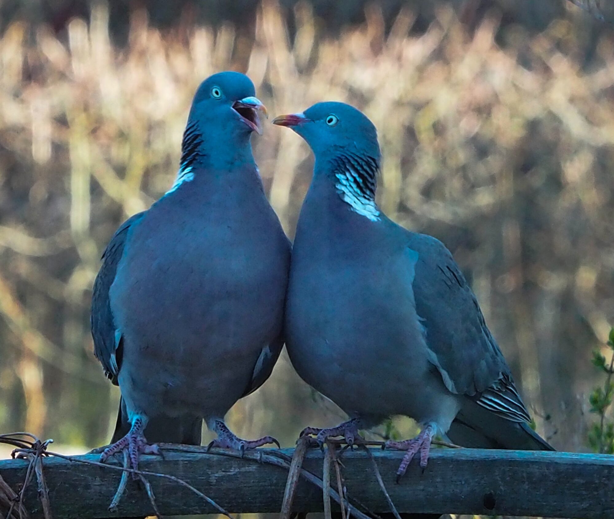 Valokuvaaja: Aki Jalava