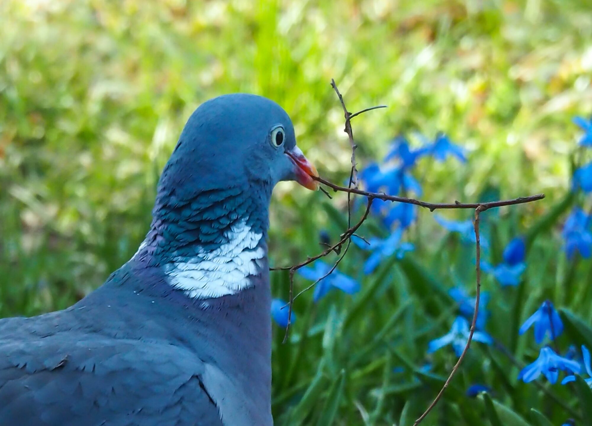 Valokuvaaja: Aki Jalava