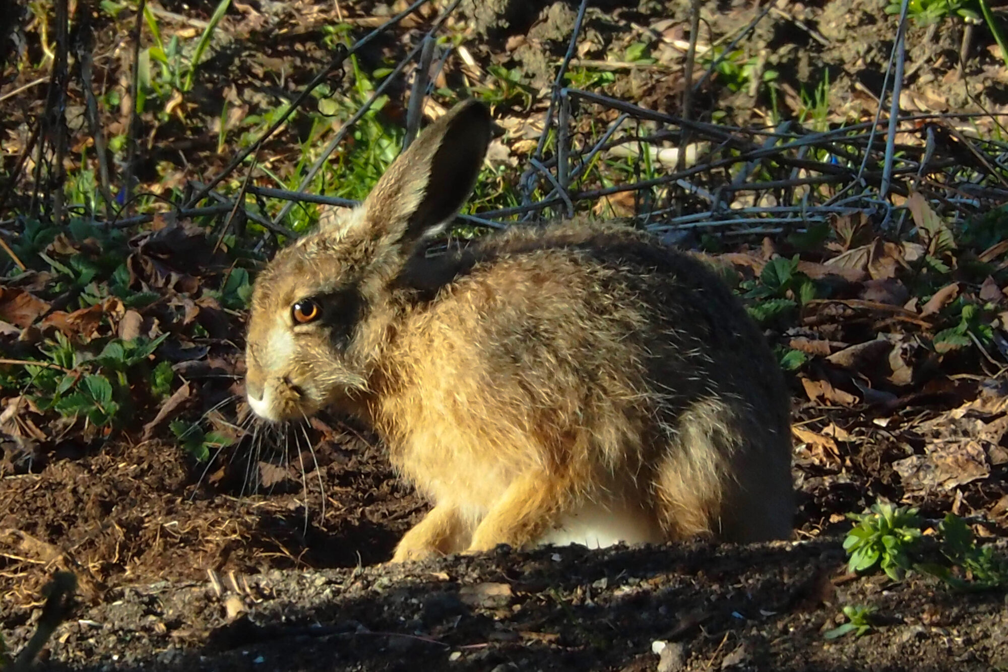 Valokuvaaja: Aki Jalava Valokuvaaja: Aki Jalava