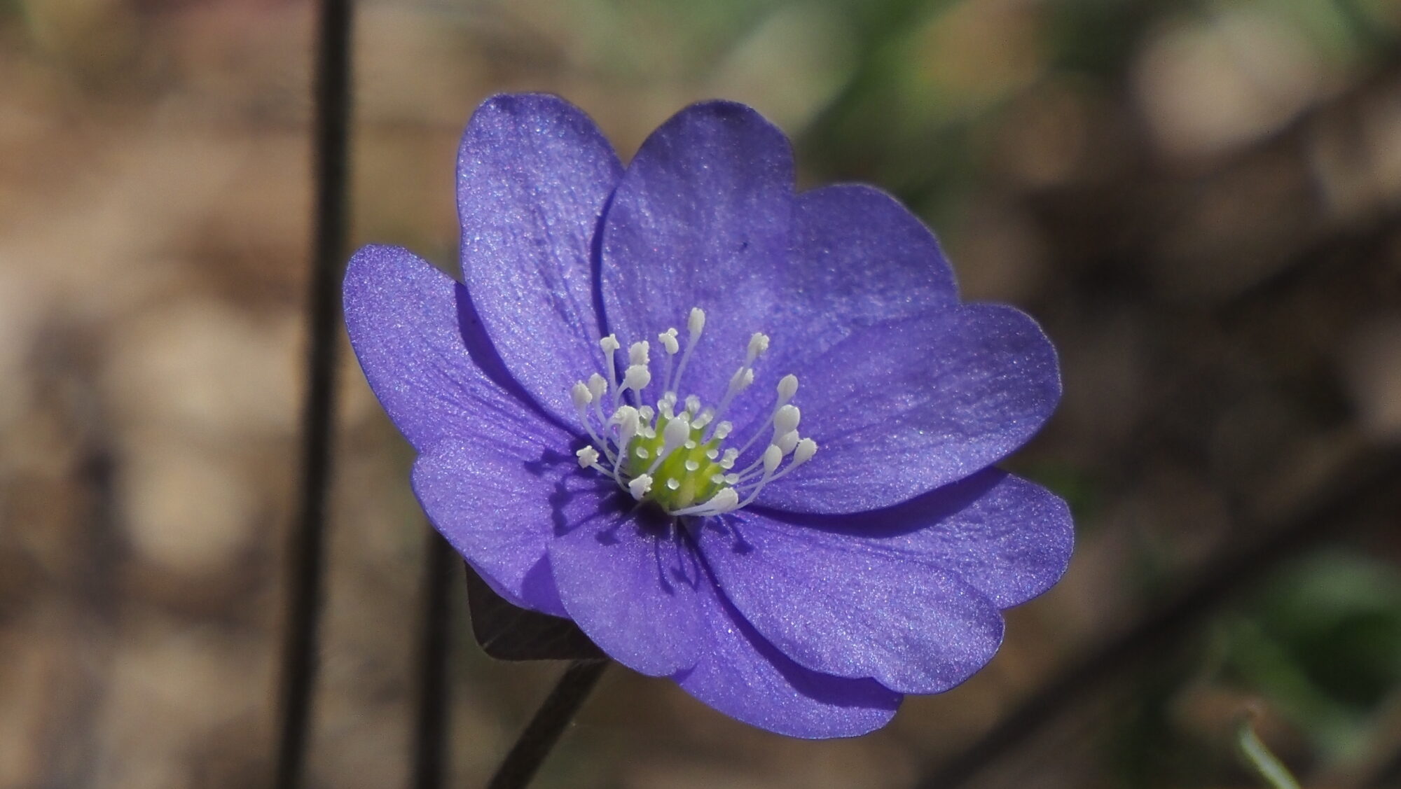 Valokuvaaja: Arja Valtonen