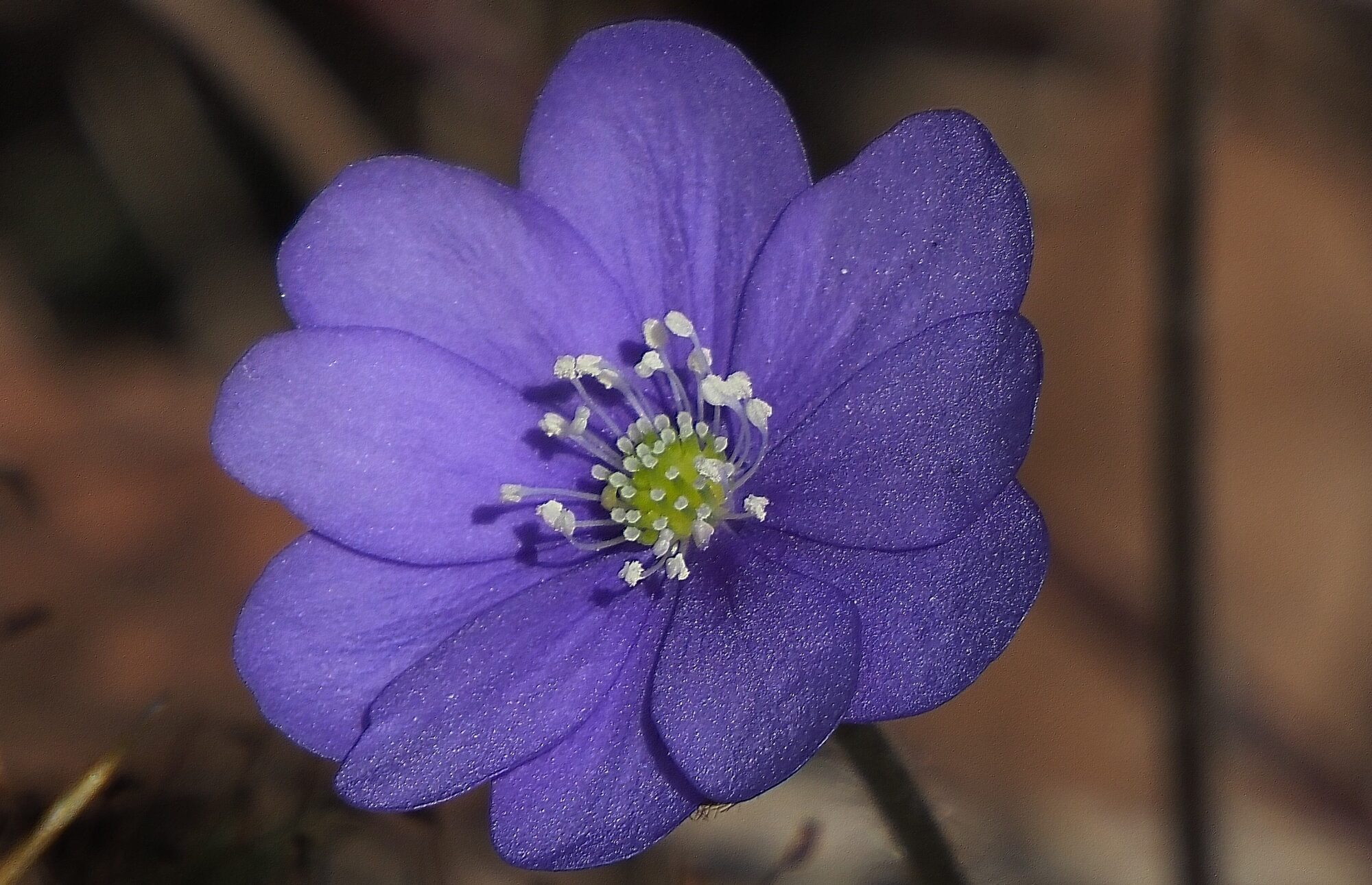 Valokuvaaja: Arja Valtonen