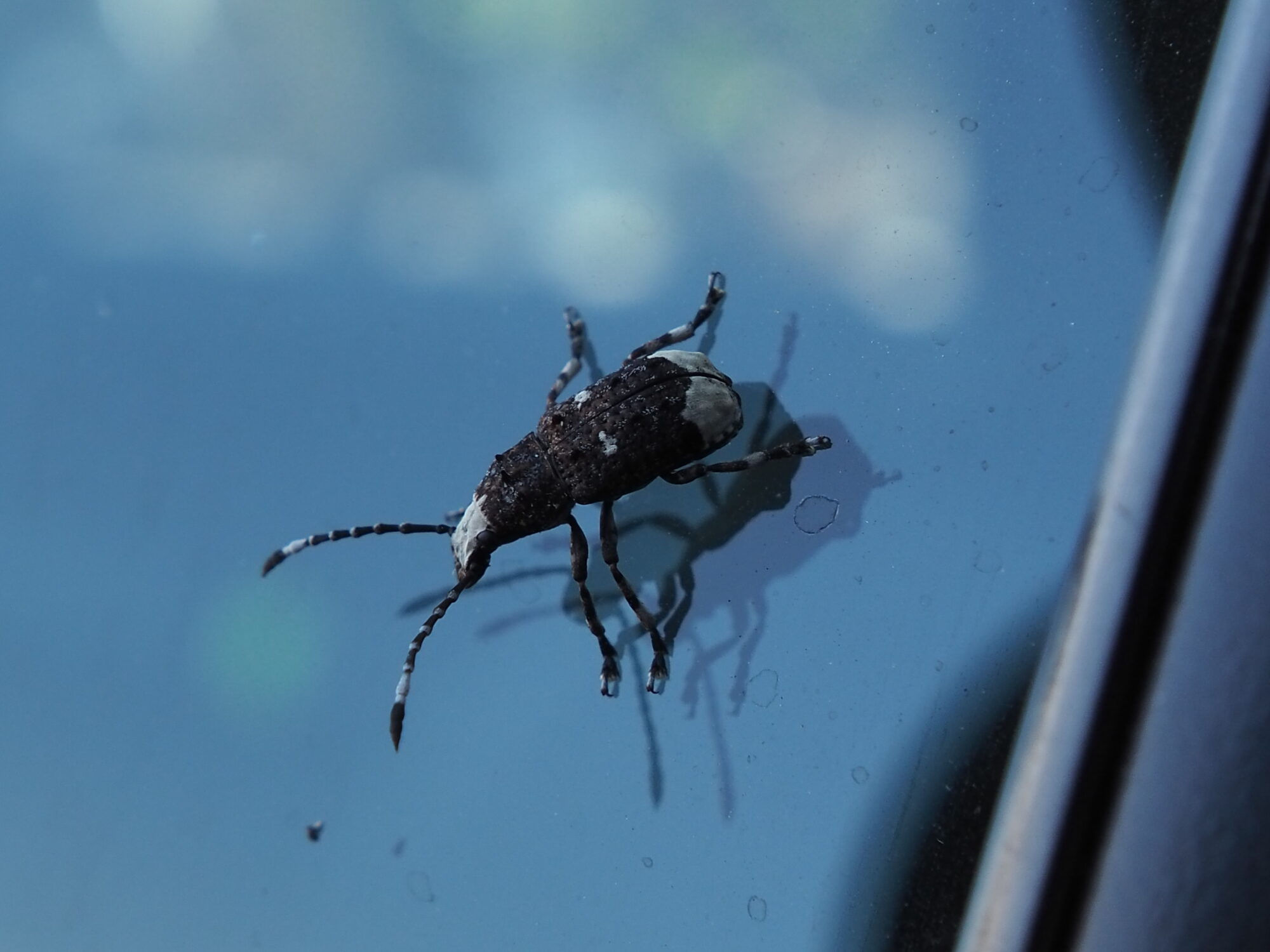 Valokuvaaja: Martti Valtonen