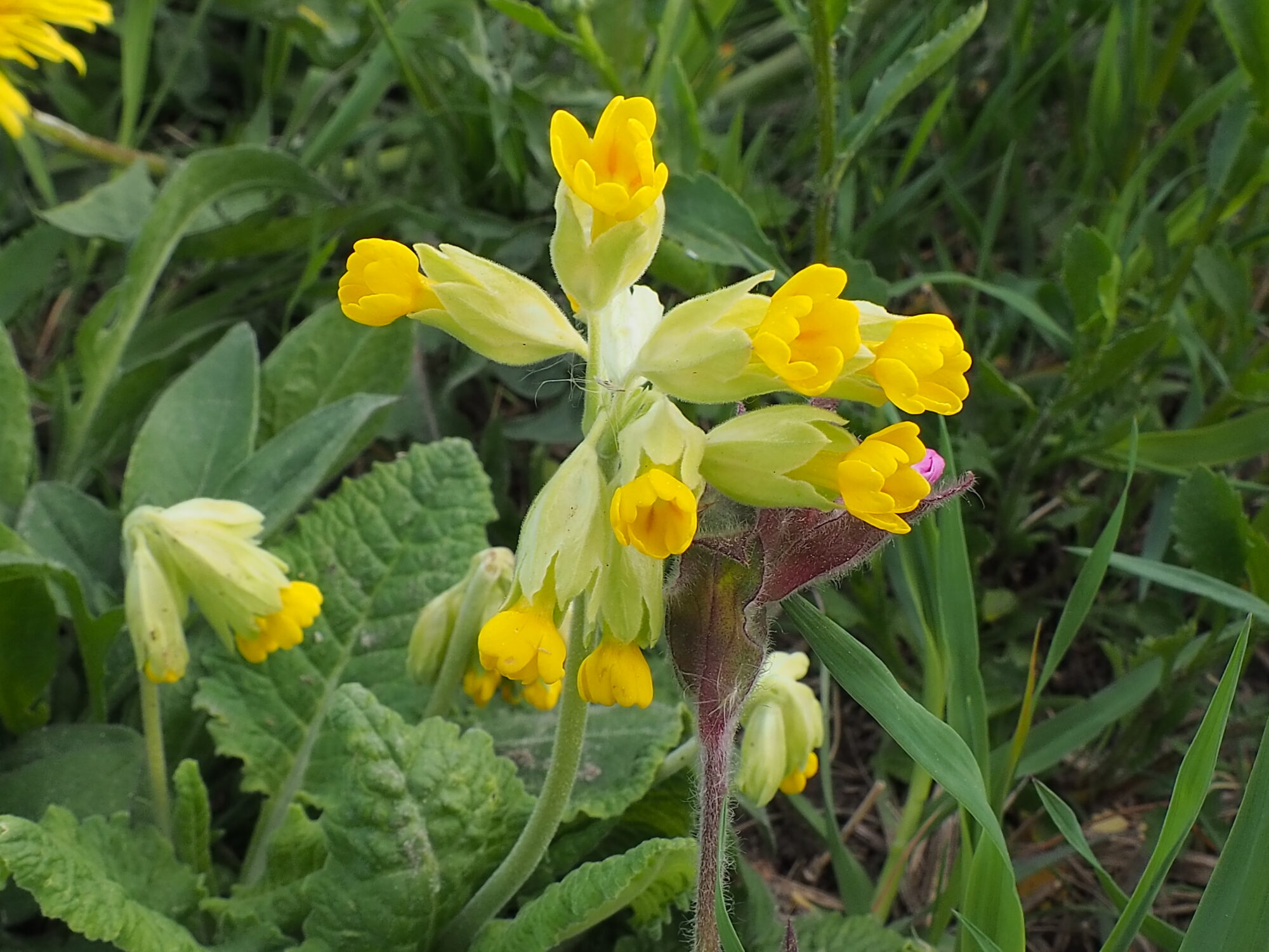 Valokuvaaja: Martti Valtonen