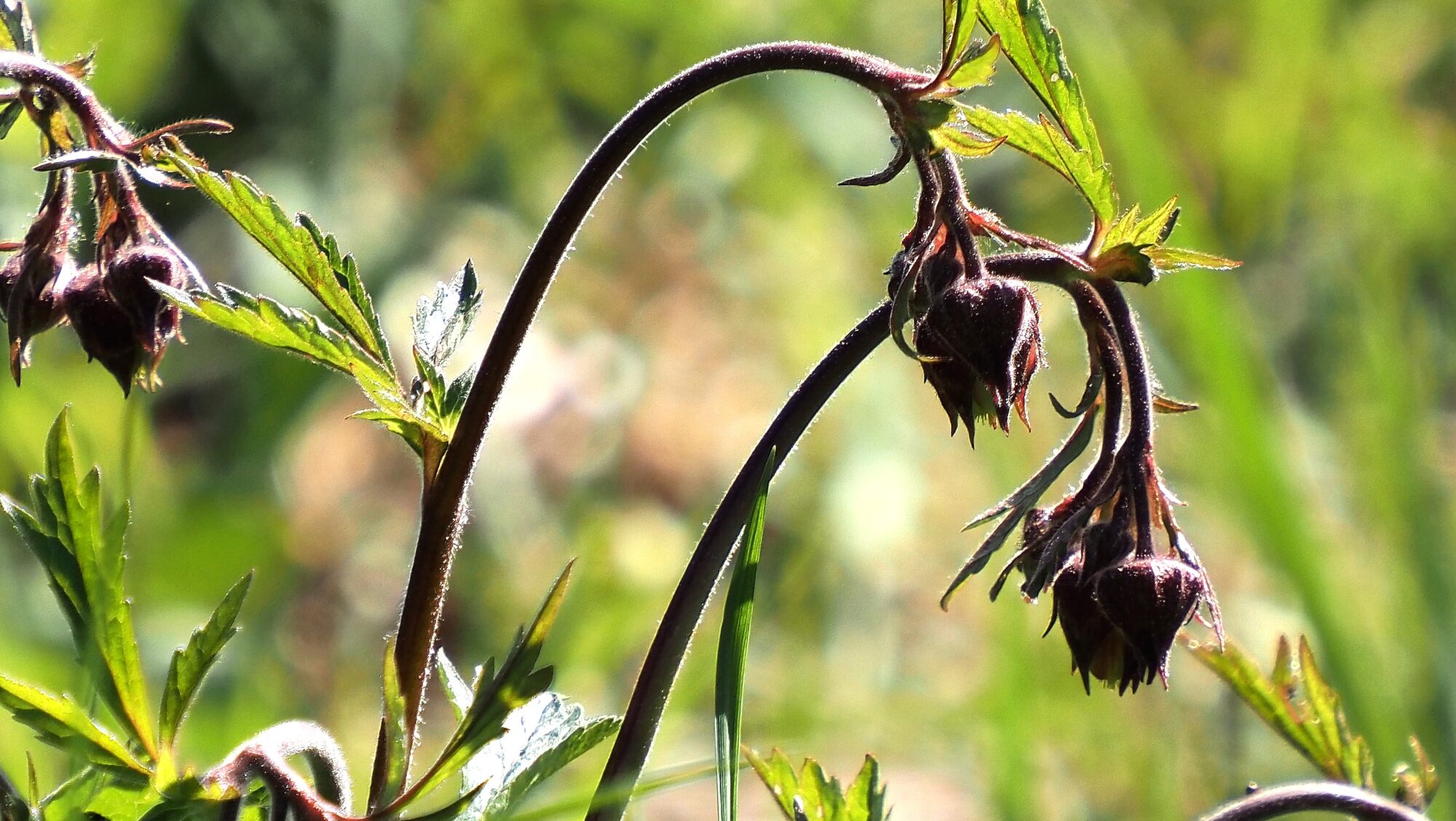 Valokuvaaja: Arja Valtonen