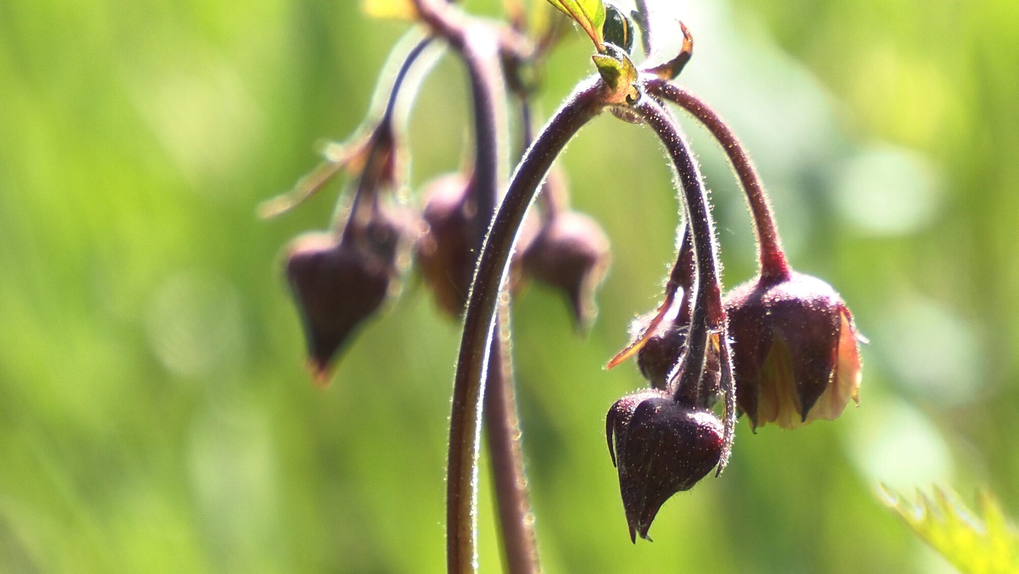 Valokuvaaja: Arja Valtonen Valokuvaaja: Arja Valtonen