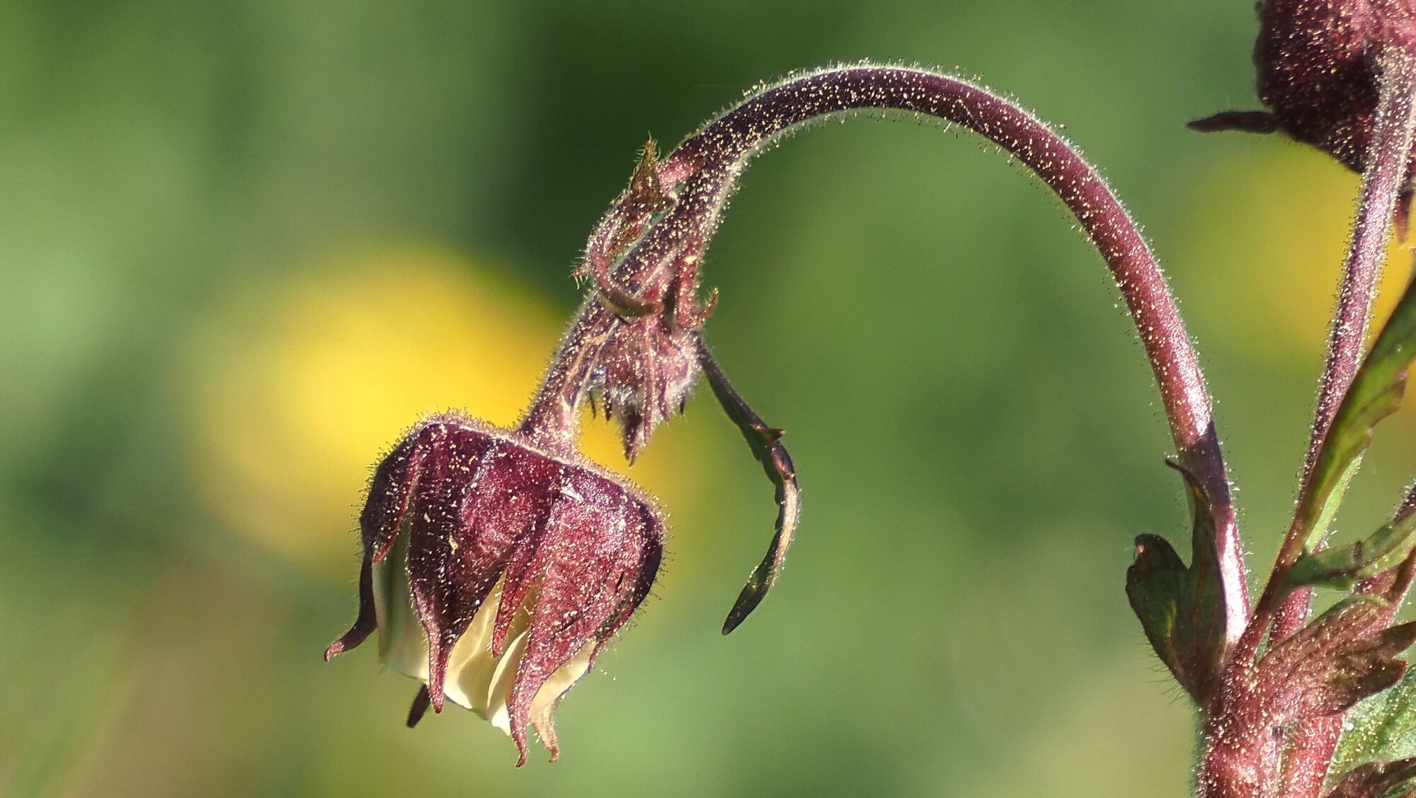 Valokuvaaja: Arja Valtonen