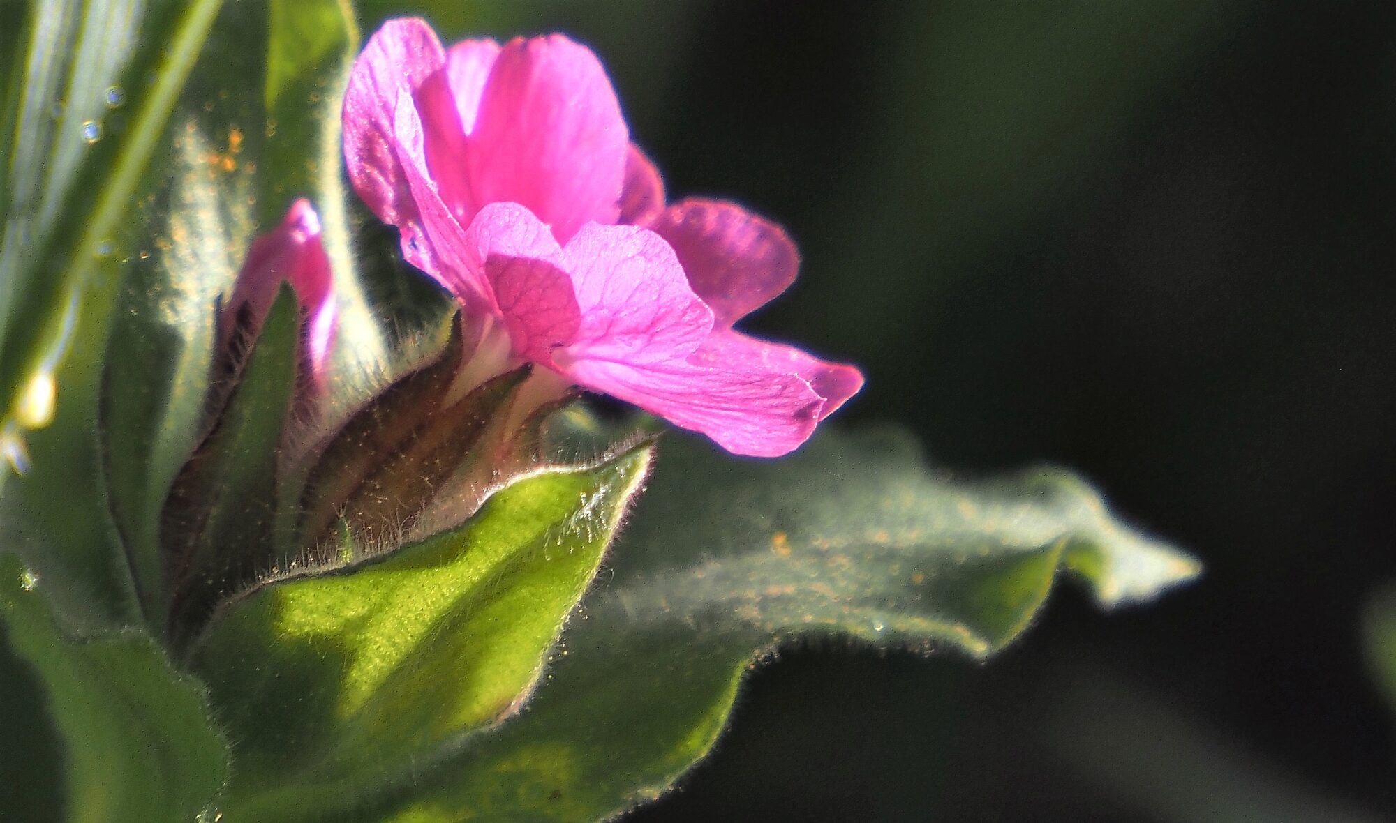 Valokuvaaja: Arja Valtonen