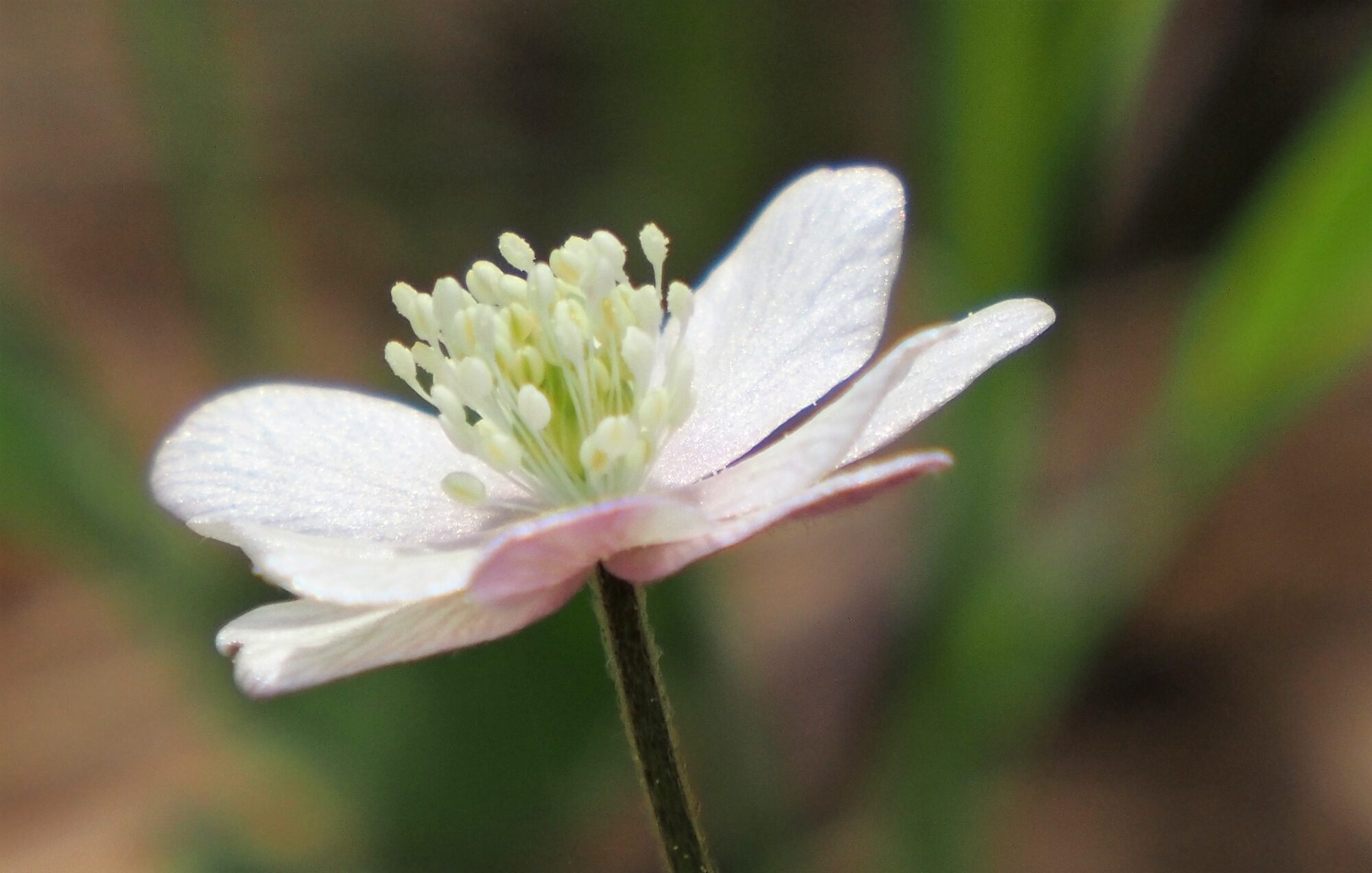 Valokuvaaja: Arja Valtonen