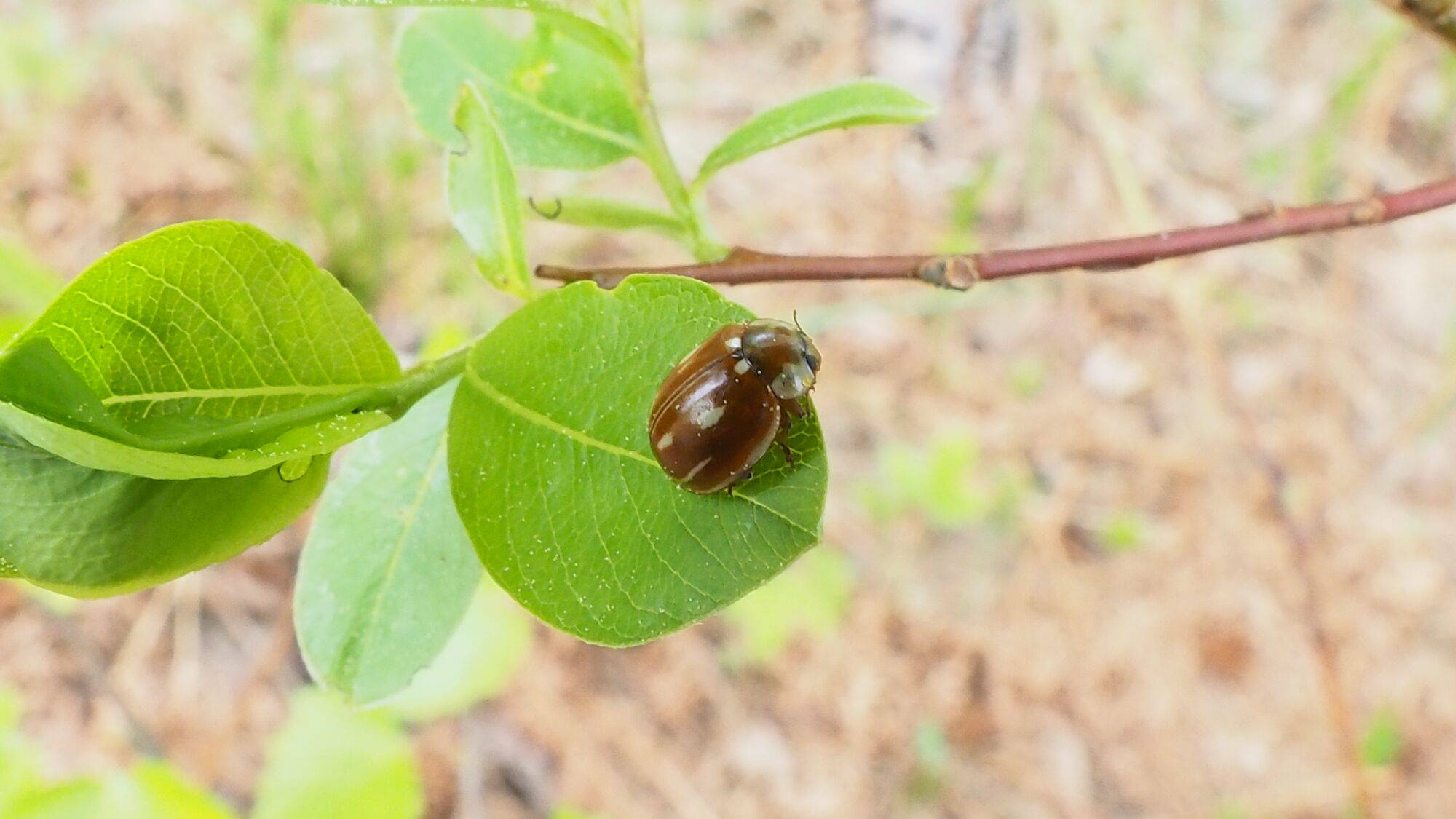 Valokuvaaja: Martti Valtonen