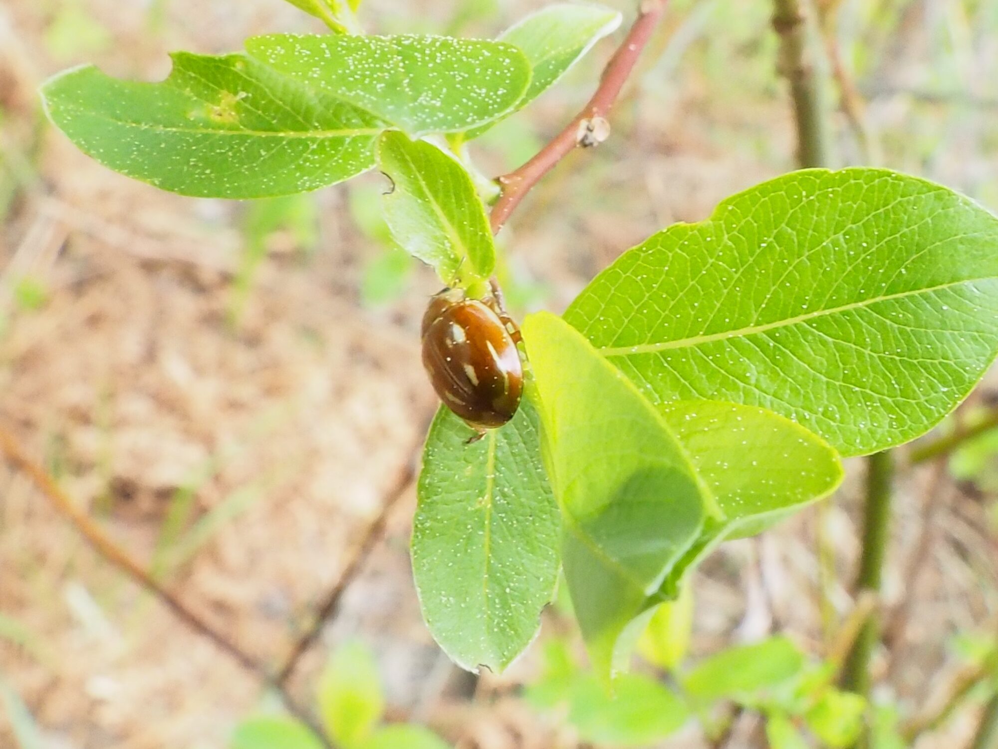 Valokuvaaja: Martti Valtonen