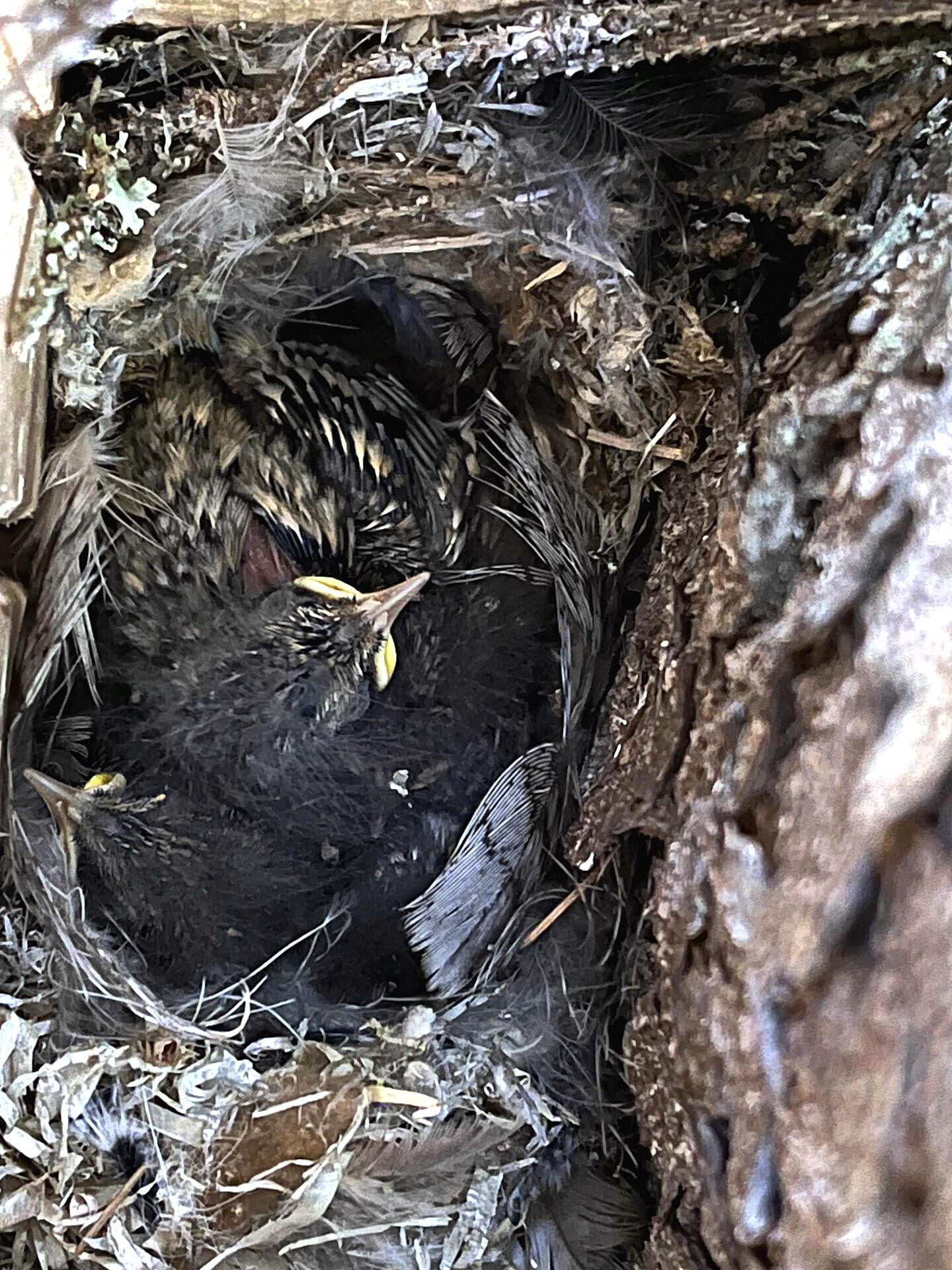 Valokuvaaja: Tuukka Pahtamaa