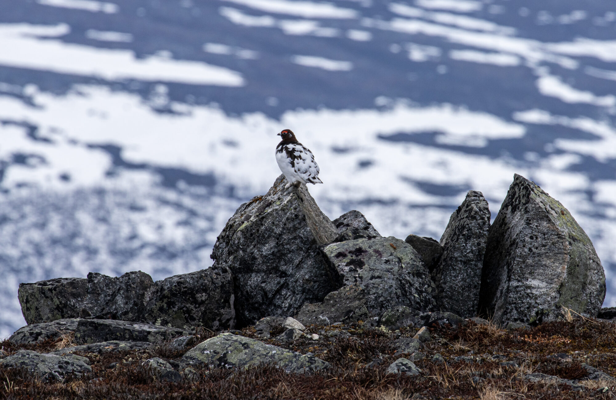 Valokuvaaja: Katri Niskanen