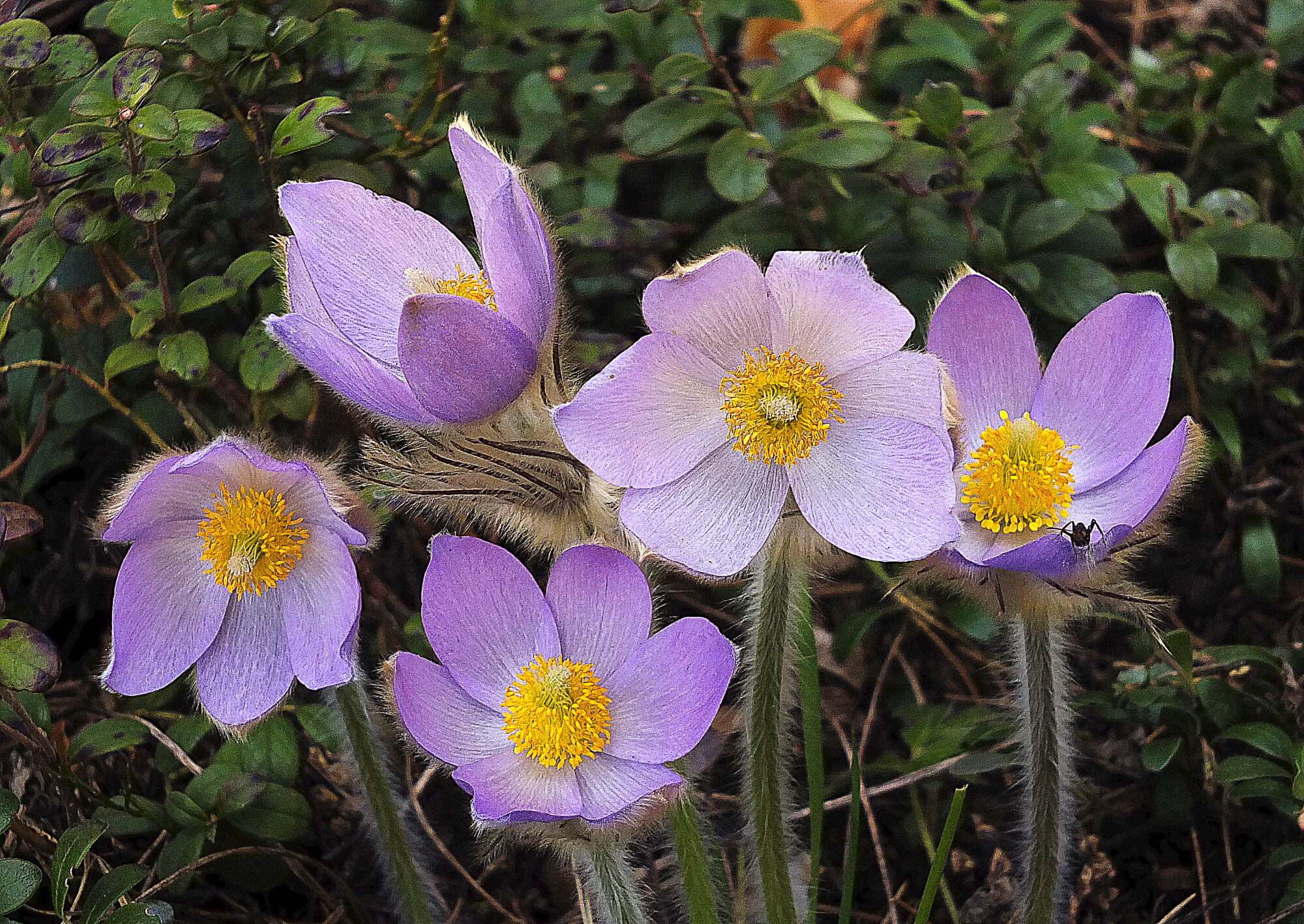 Valokuvaaja: Hannu Rasiranta