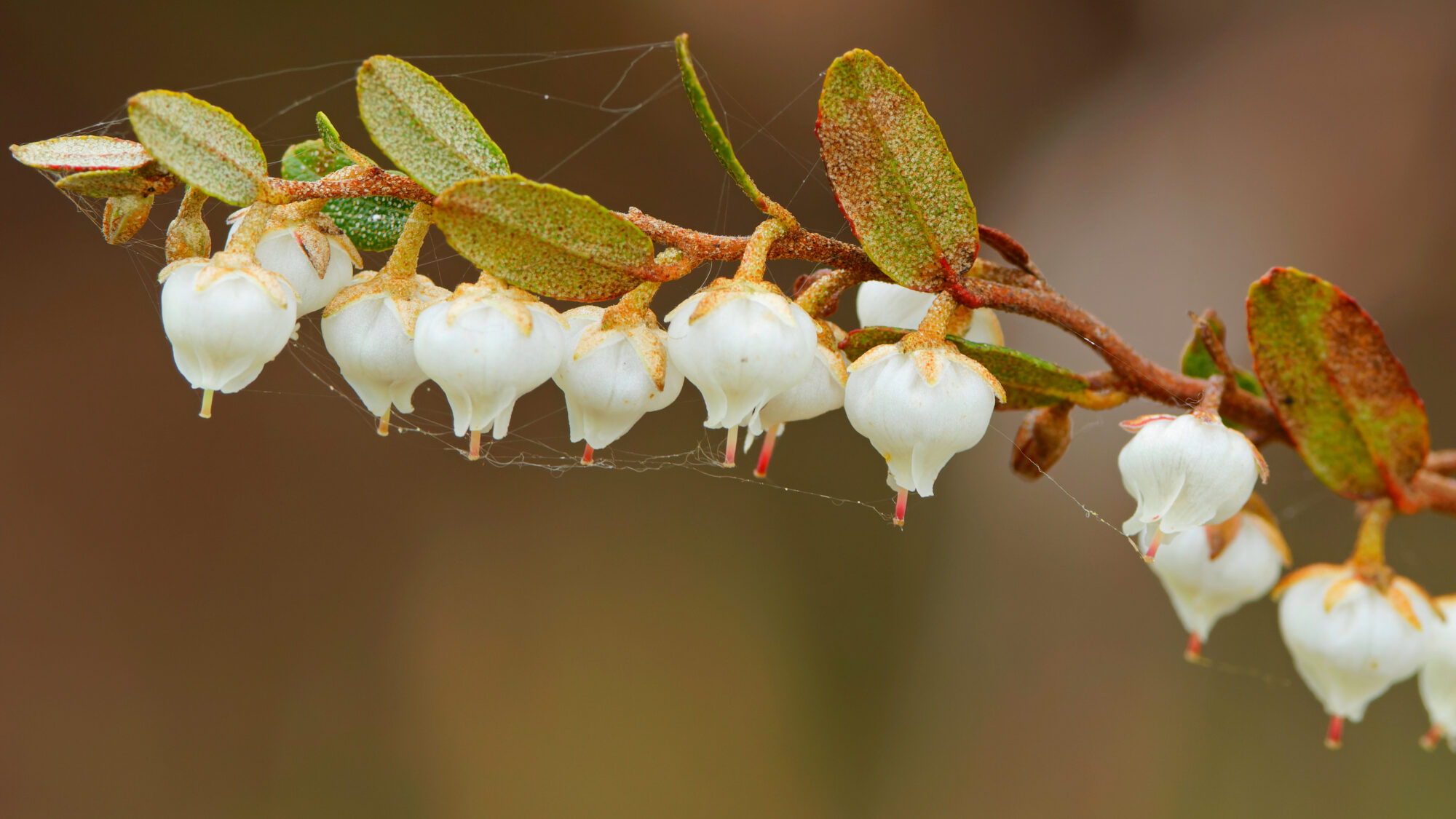 Valokuvaaja: TOMMI KUJALA