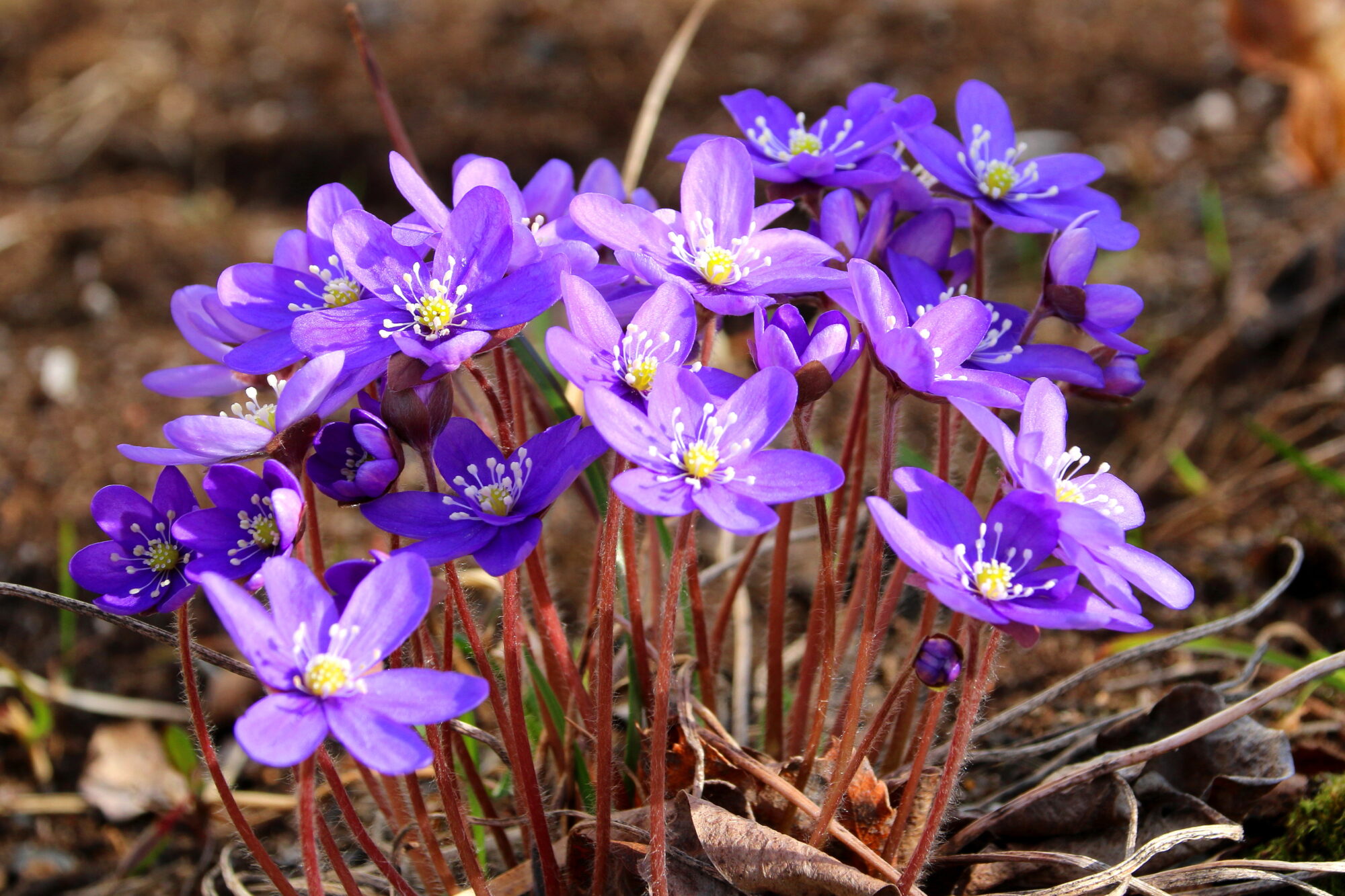 Valokuvaaja: Tuukka Pahtamaa