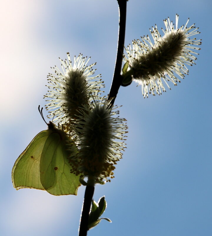 Valokuvaaja: Helena Sytelä