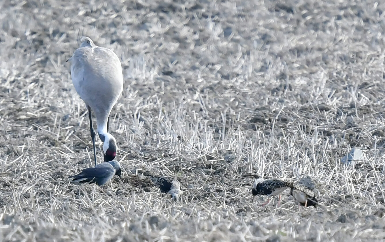 Valokuvaaja: Matti Manninen