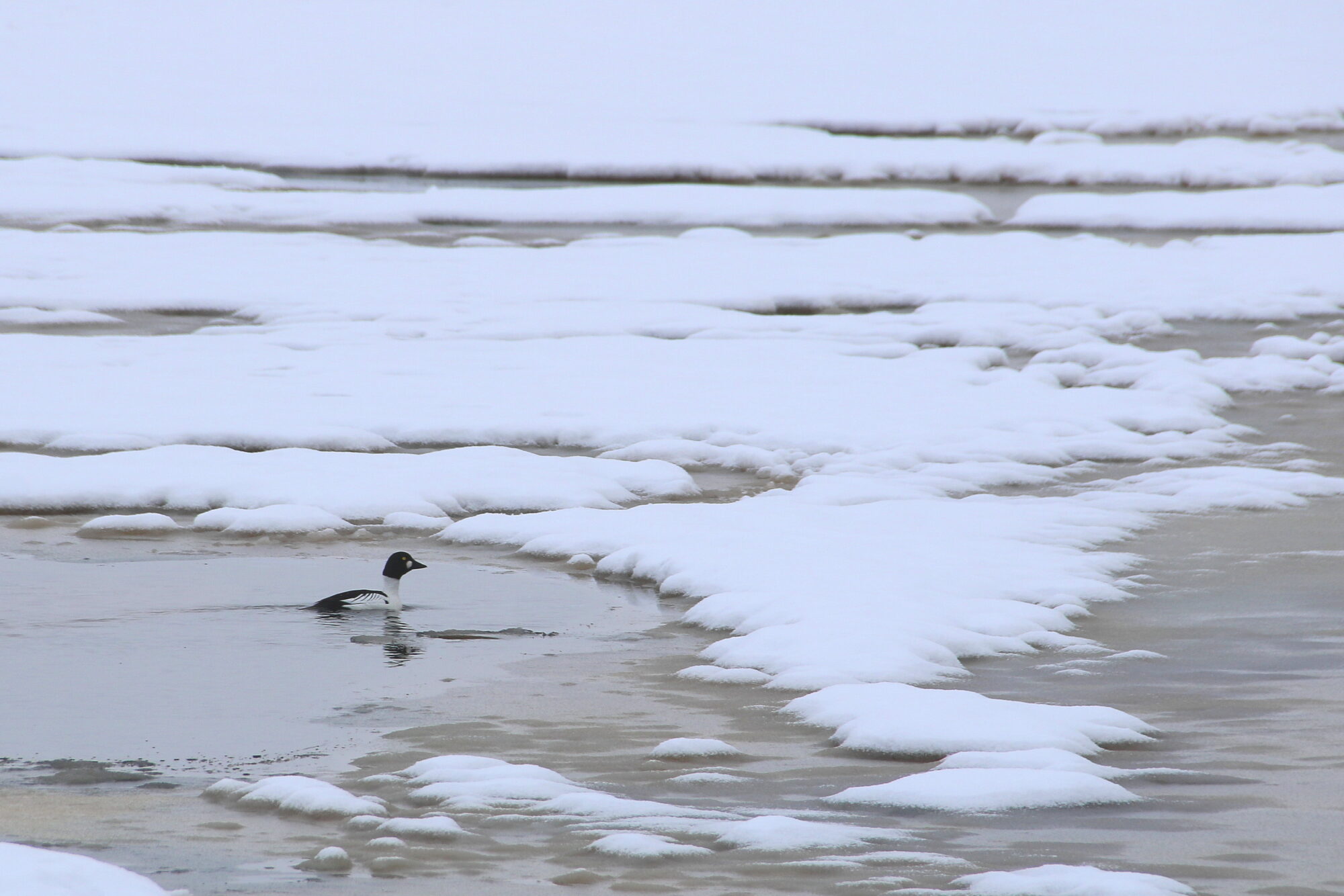 Valokuvaaja: Tuukka Pahtamaa