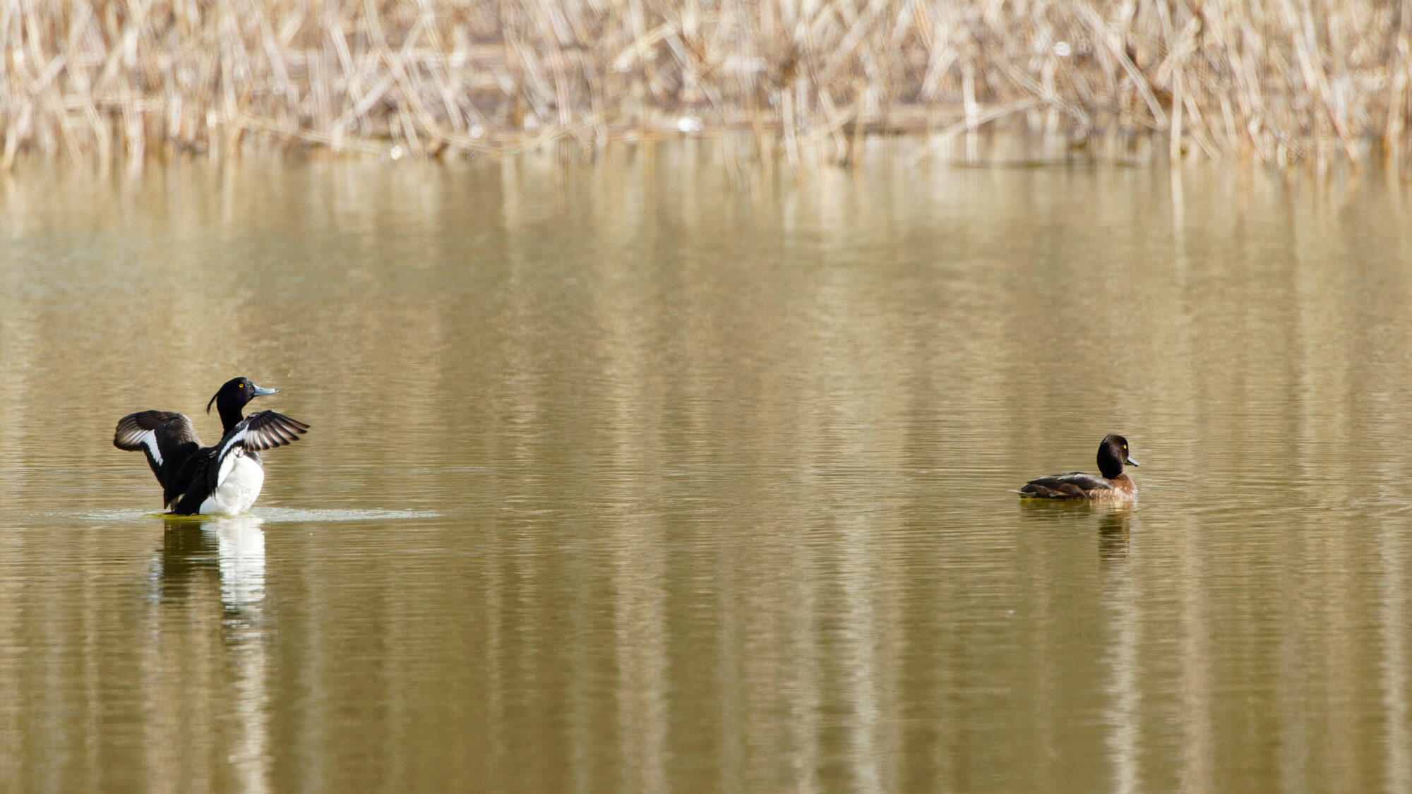Valokuvaaja: TOMMI KUJALA