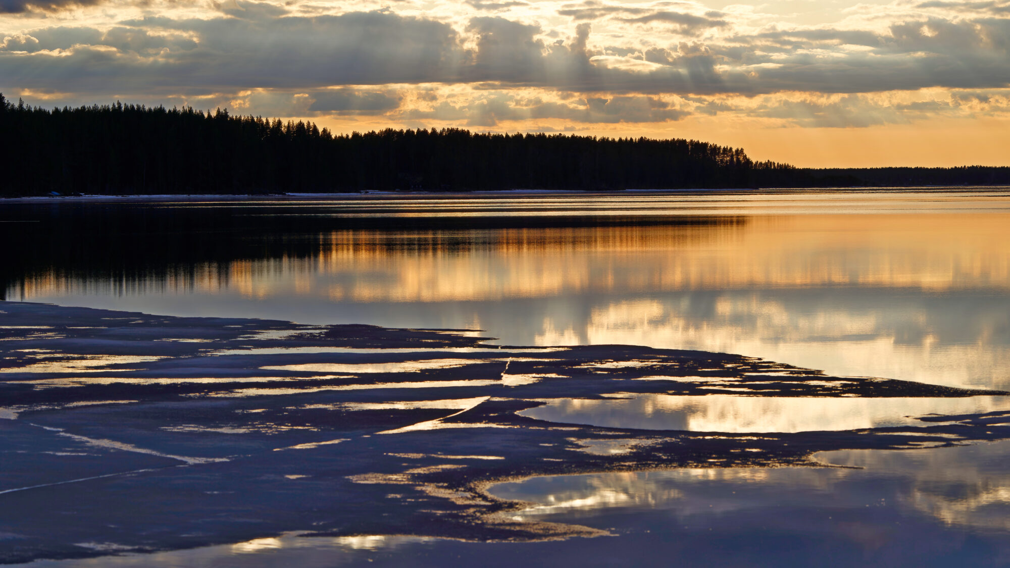 Valokuvaaja: TOMMI KUJALA