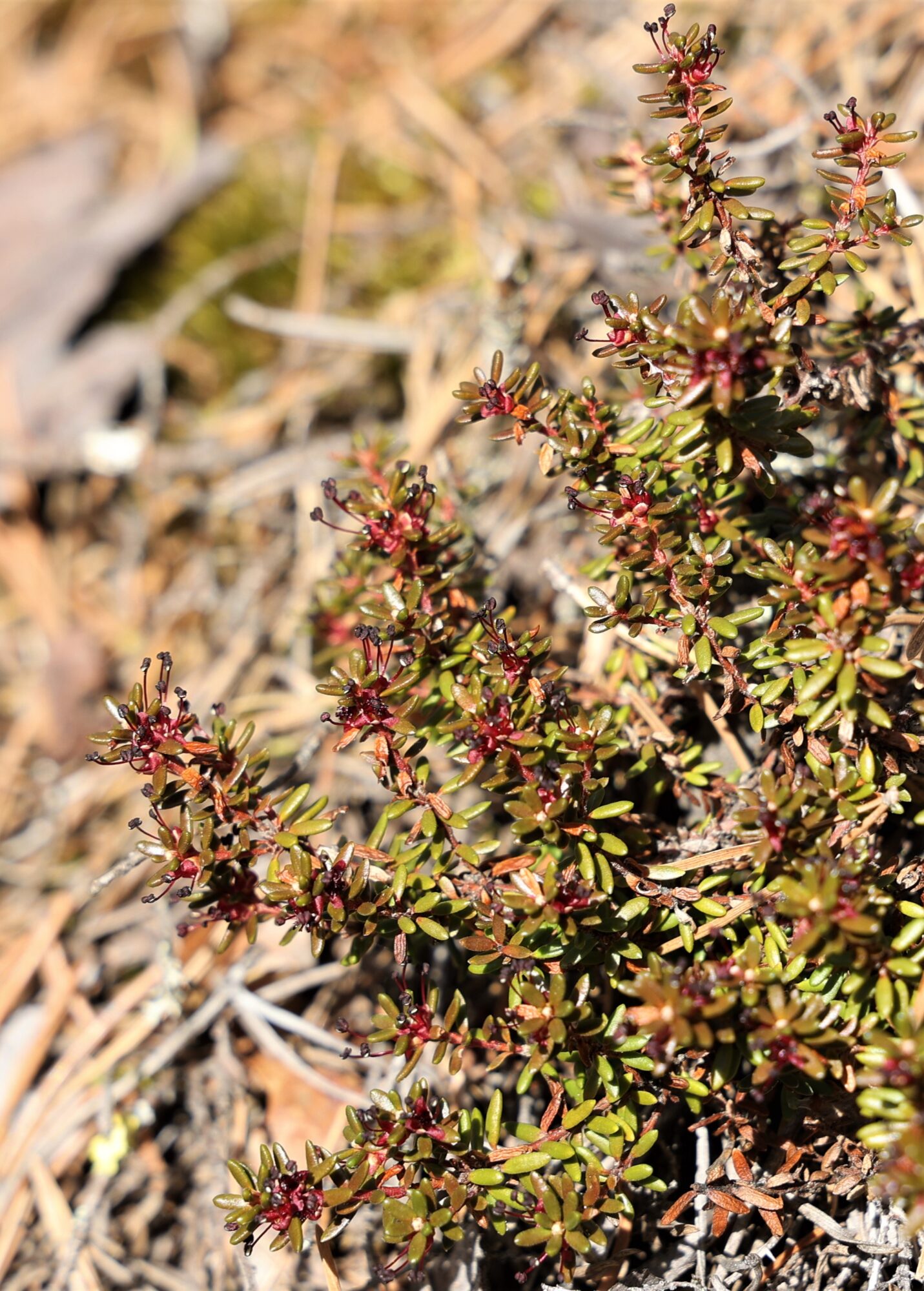 Valokuvaaja: Kaarina Heiskanen