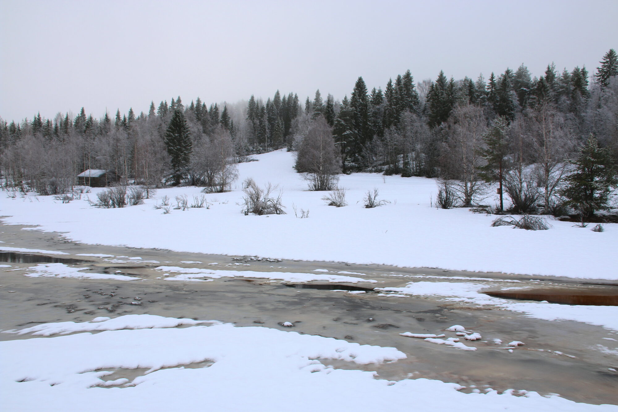 Valokuvaaja: Tuukka Pahtamaa Valokuvaaja: Tuukka Pahtamaa