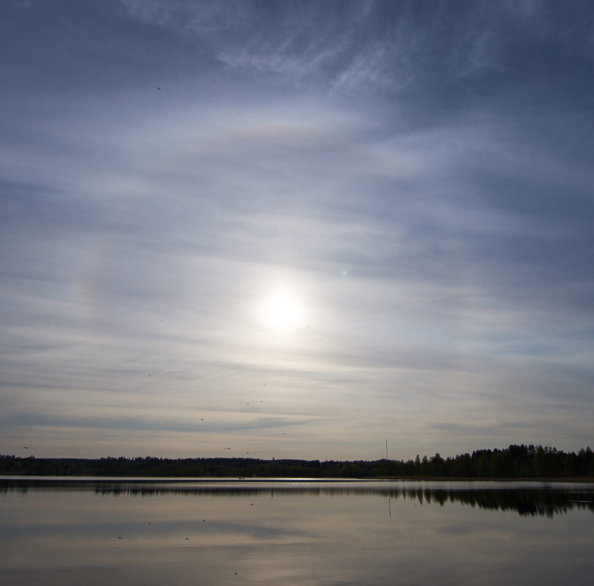 Valokuvaaja: Tarja Kouvo