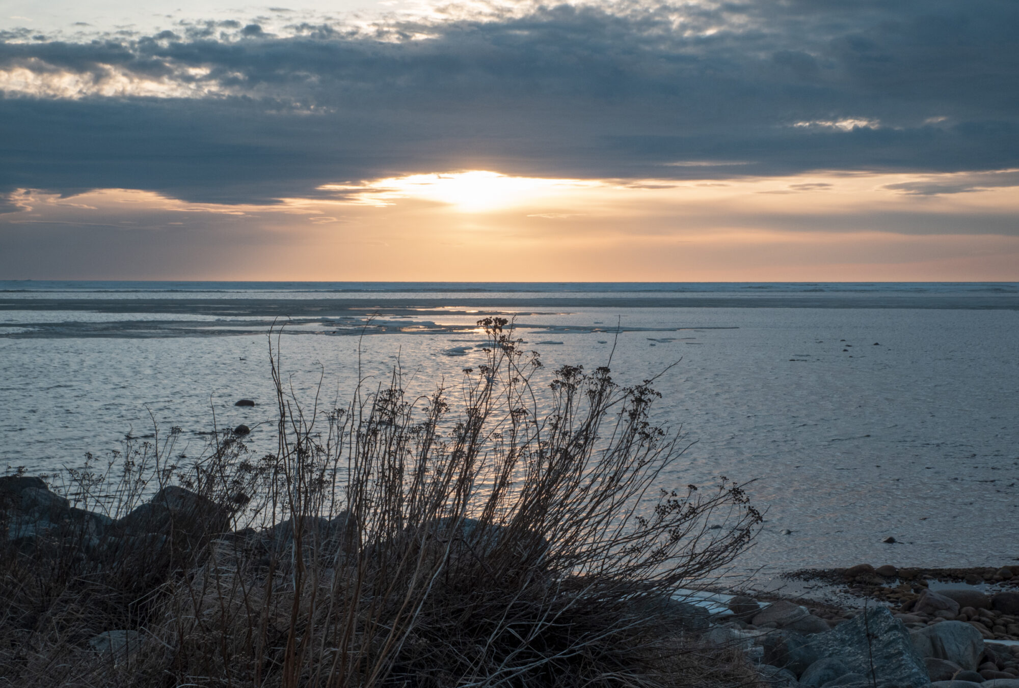 Valokuvaaja: Hannu Tikkanen