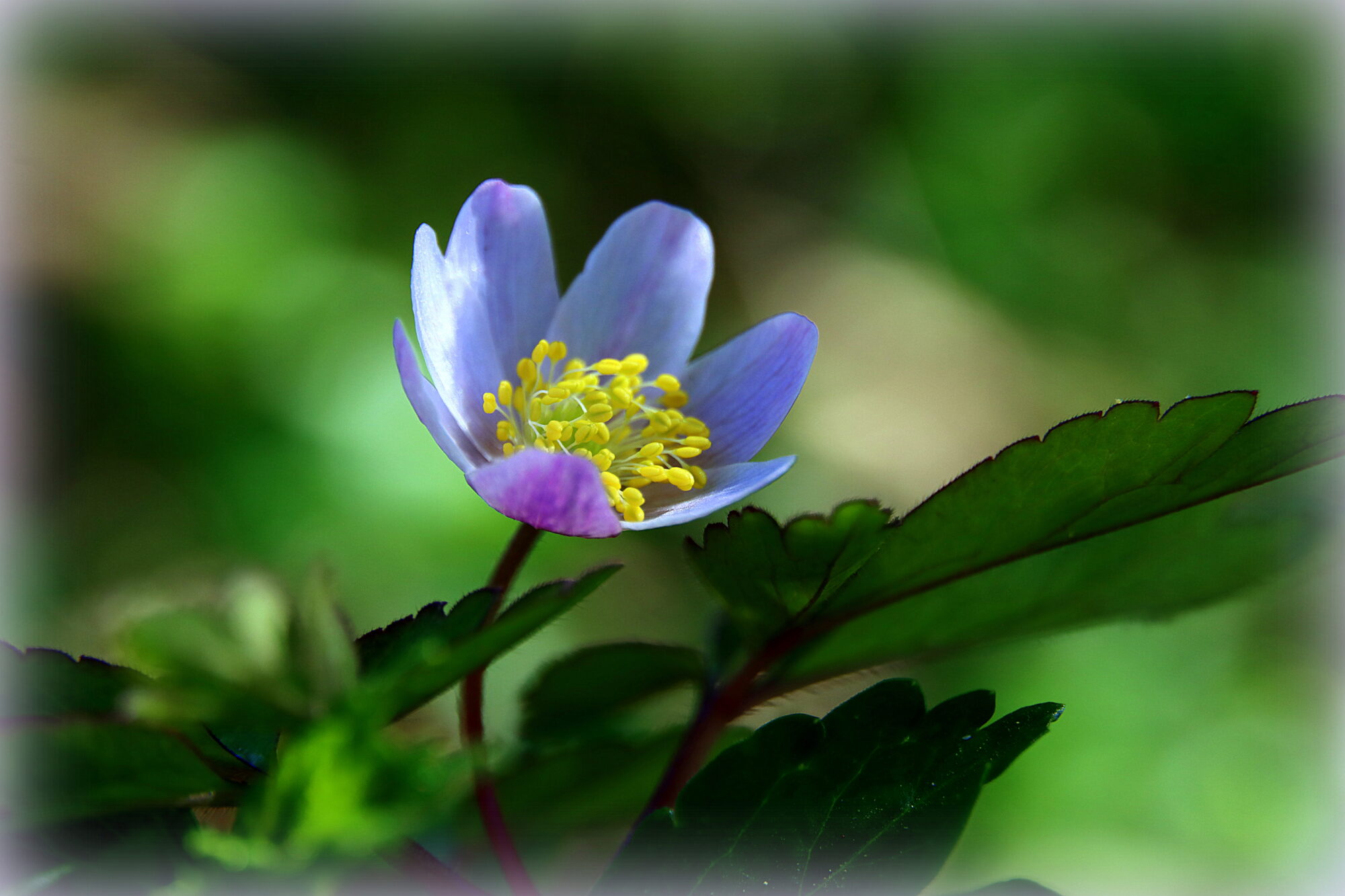 Valokuvaaja: Irja Lehtinen