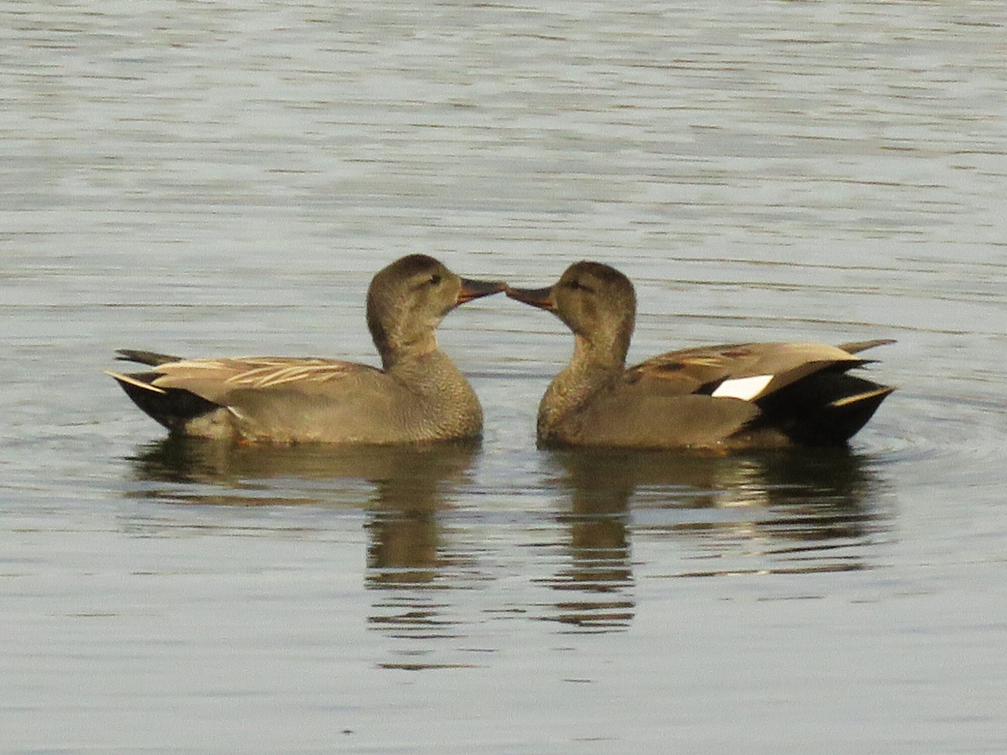 Valokuvaaja: Liisa Johansson