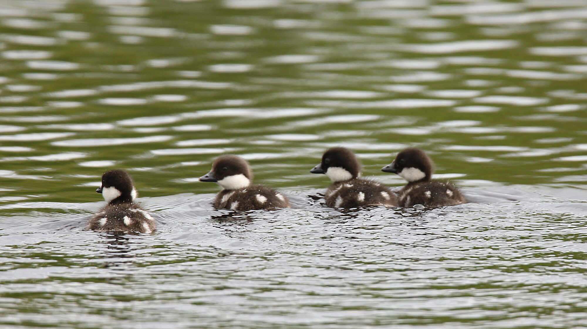 Valokuvaaja: sirpa Jyske Valokuvaaja: sirpa Jyske
