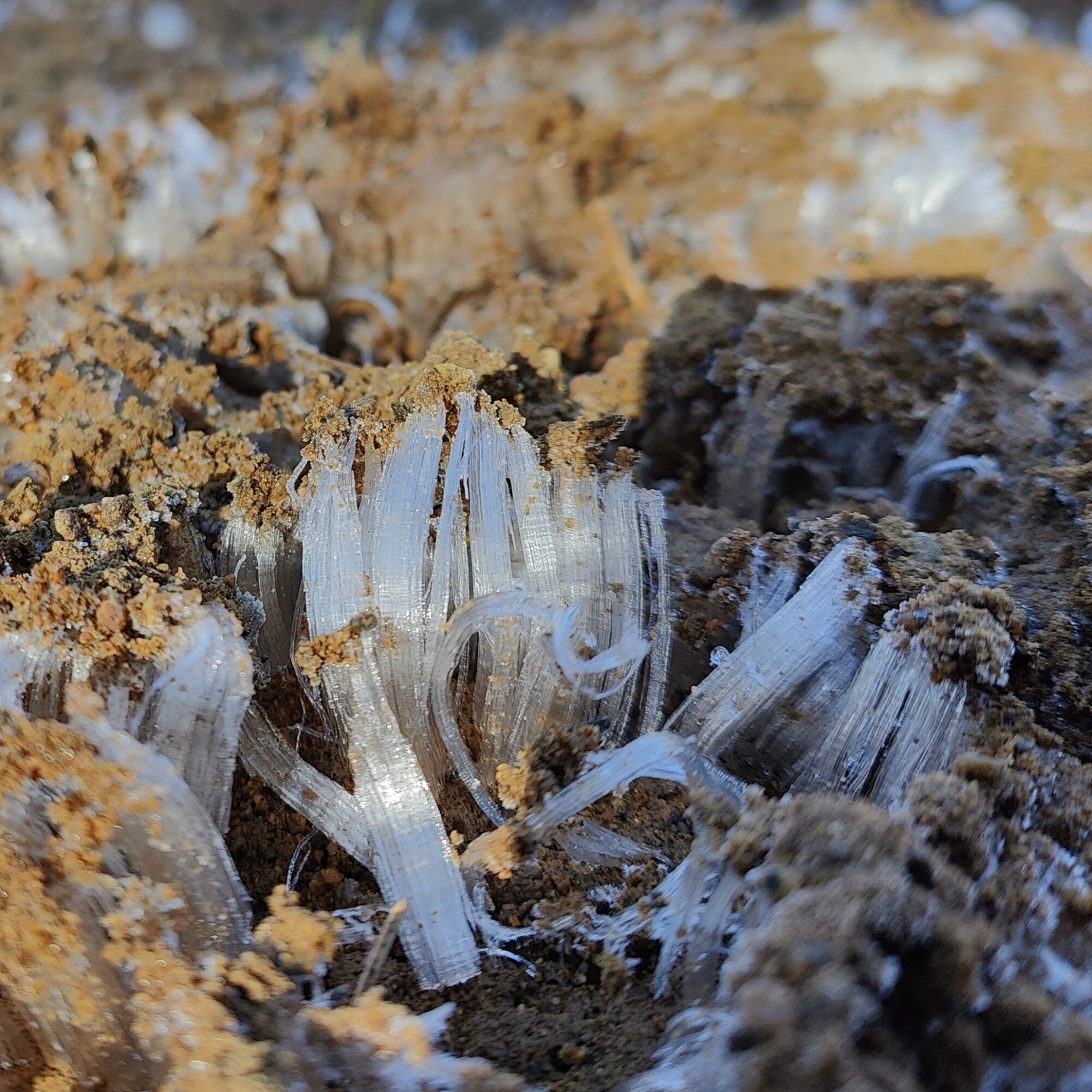 Valokuvaaja: Tuija Näppinen