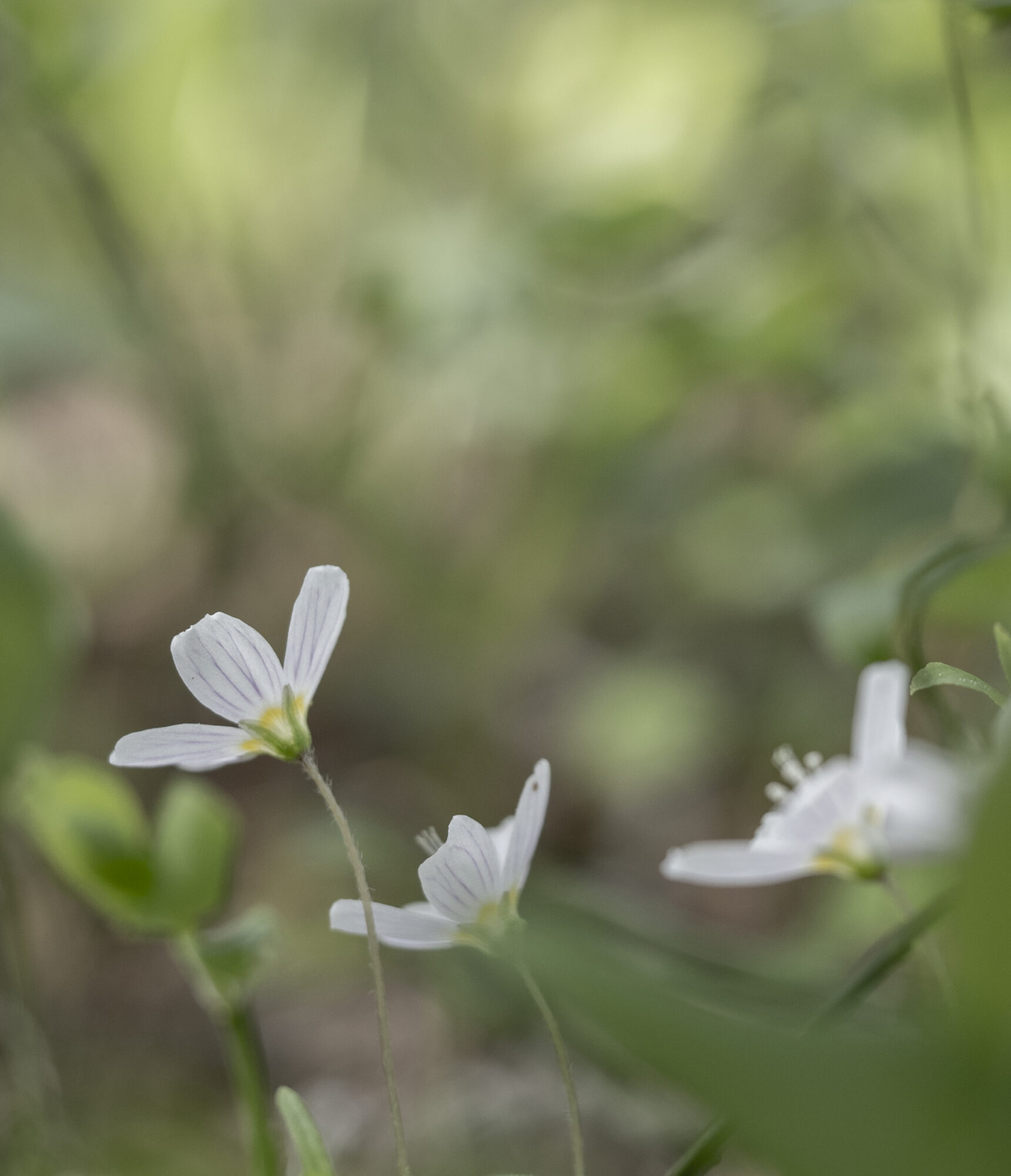 Valokuvaaja: Hannu Tikkanen