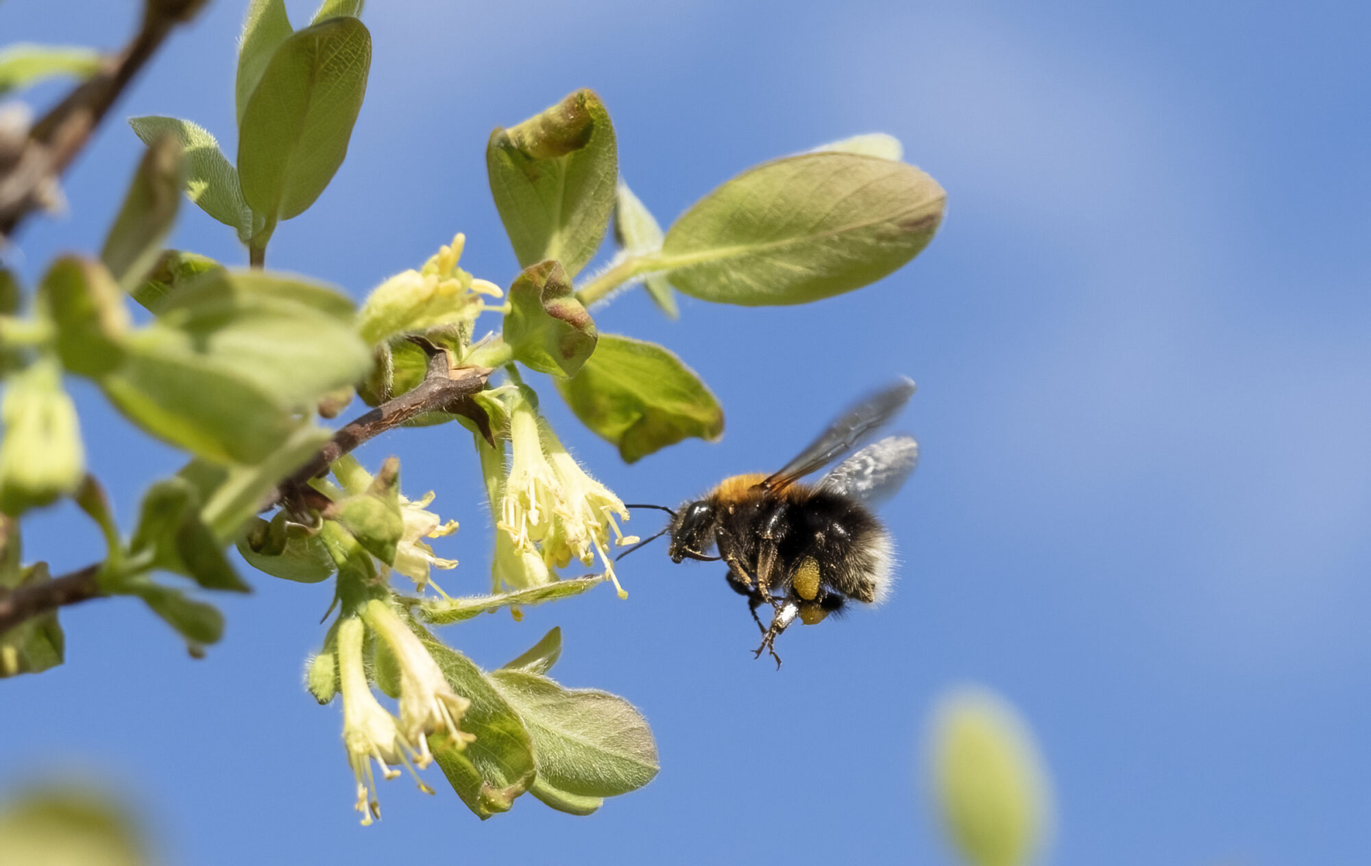 Valokuvaaja: Hannu Tikkanen