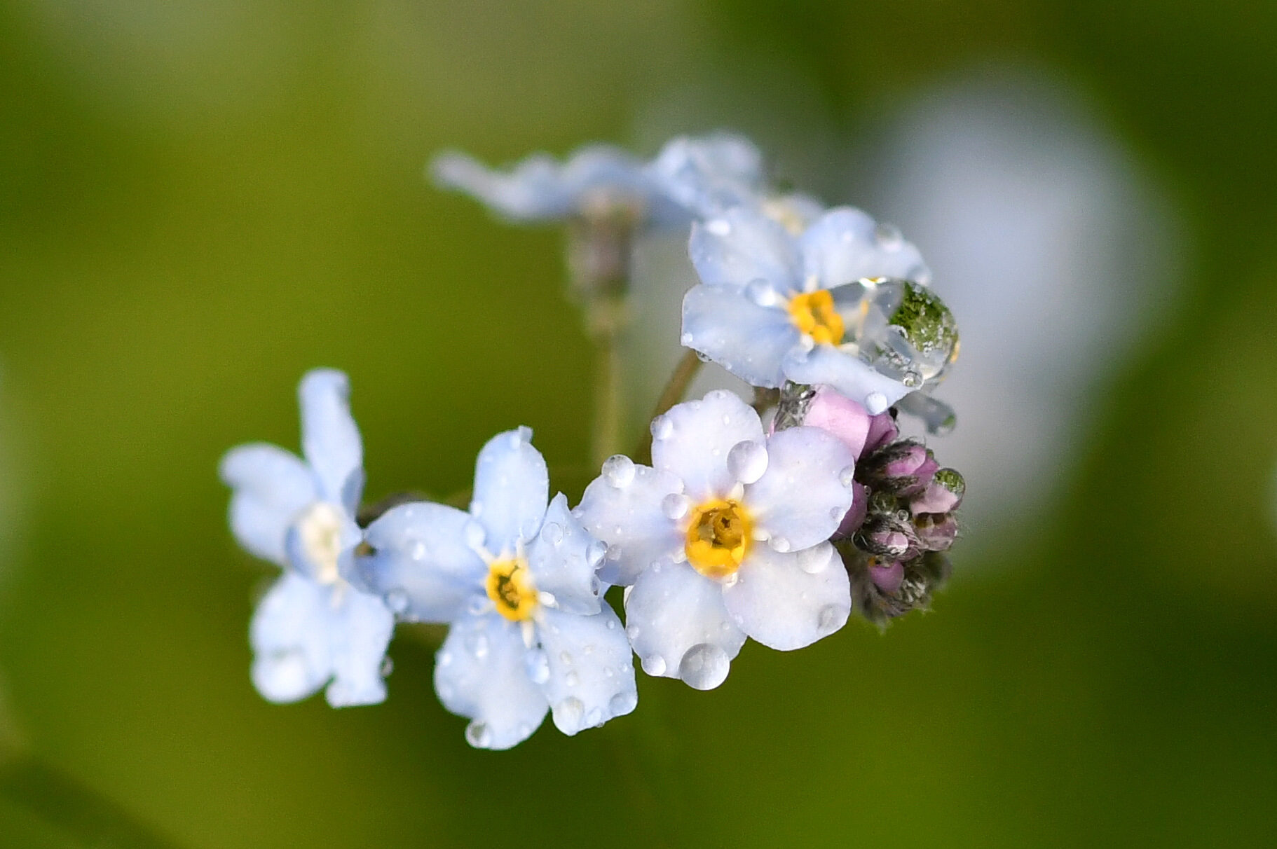 Valokuvaaja: Antti Kaskinen