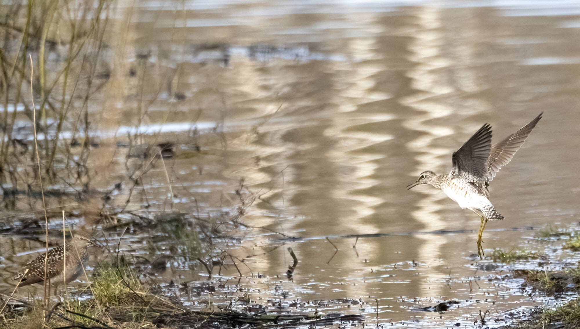 Valokuvaaja: Hannu Tikkanen