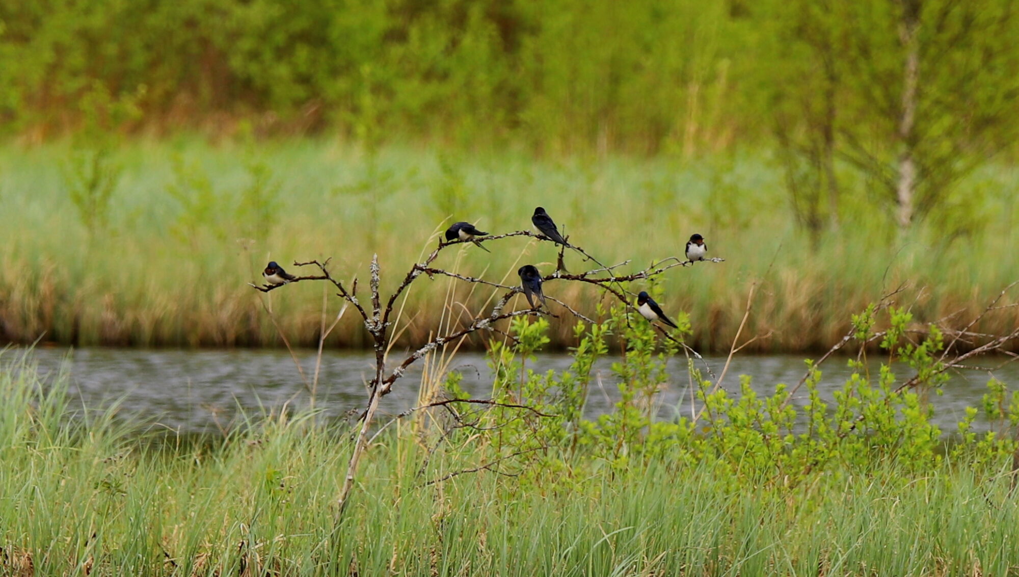 Valokuvaaja: sirpa Jyske