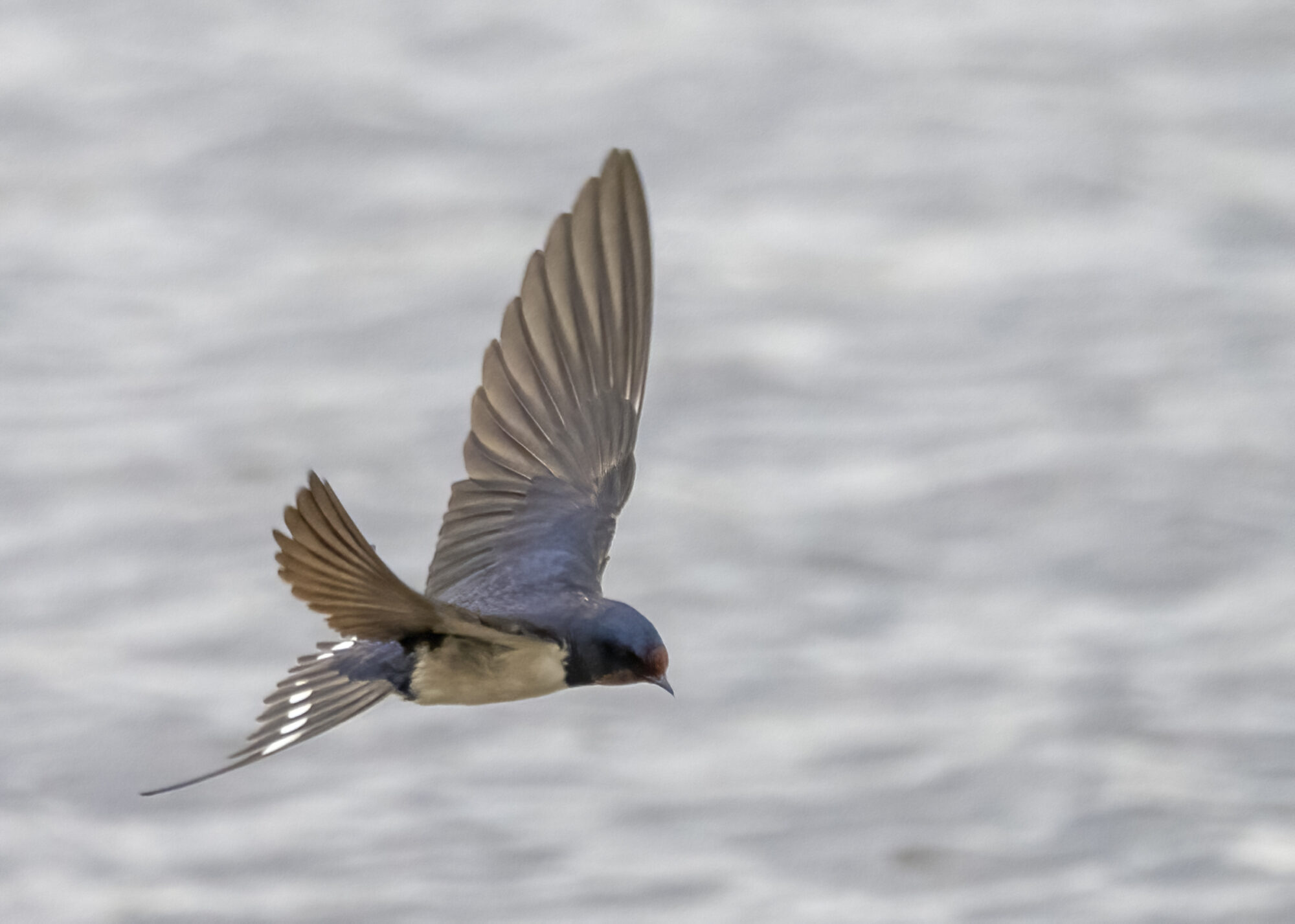 Valokuvaaja: Hannu Tikkanen