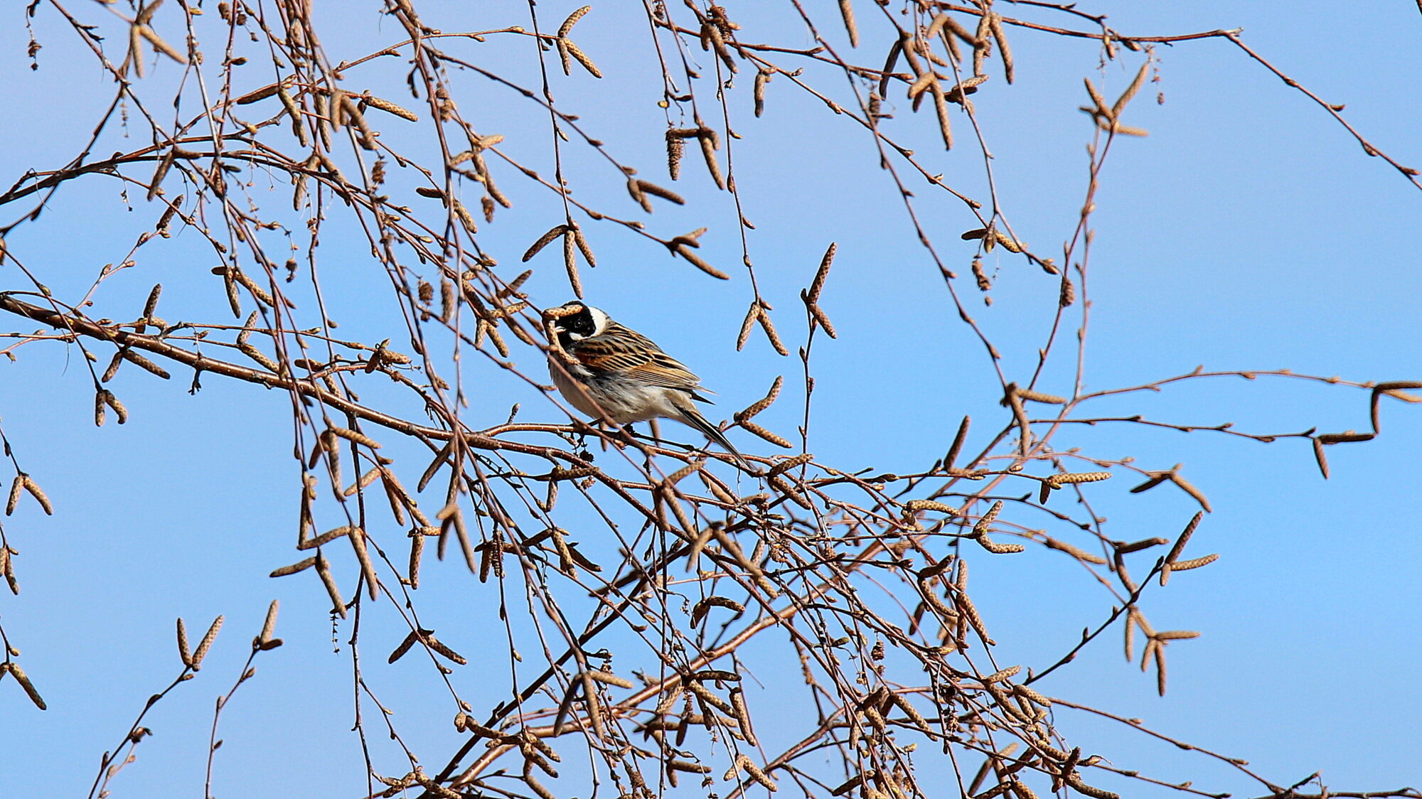 Valokuvaaja: sirpa Jyske