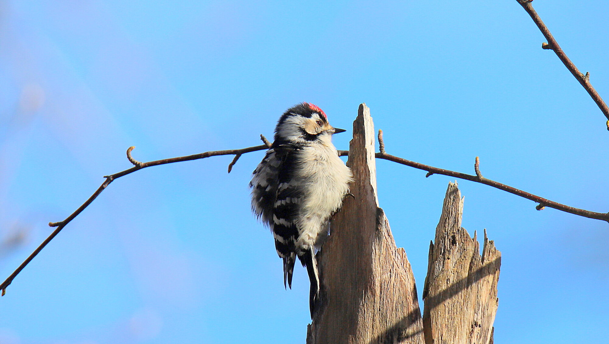 Valokuvaaja: sirpa Jyske