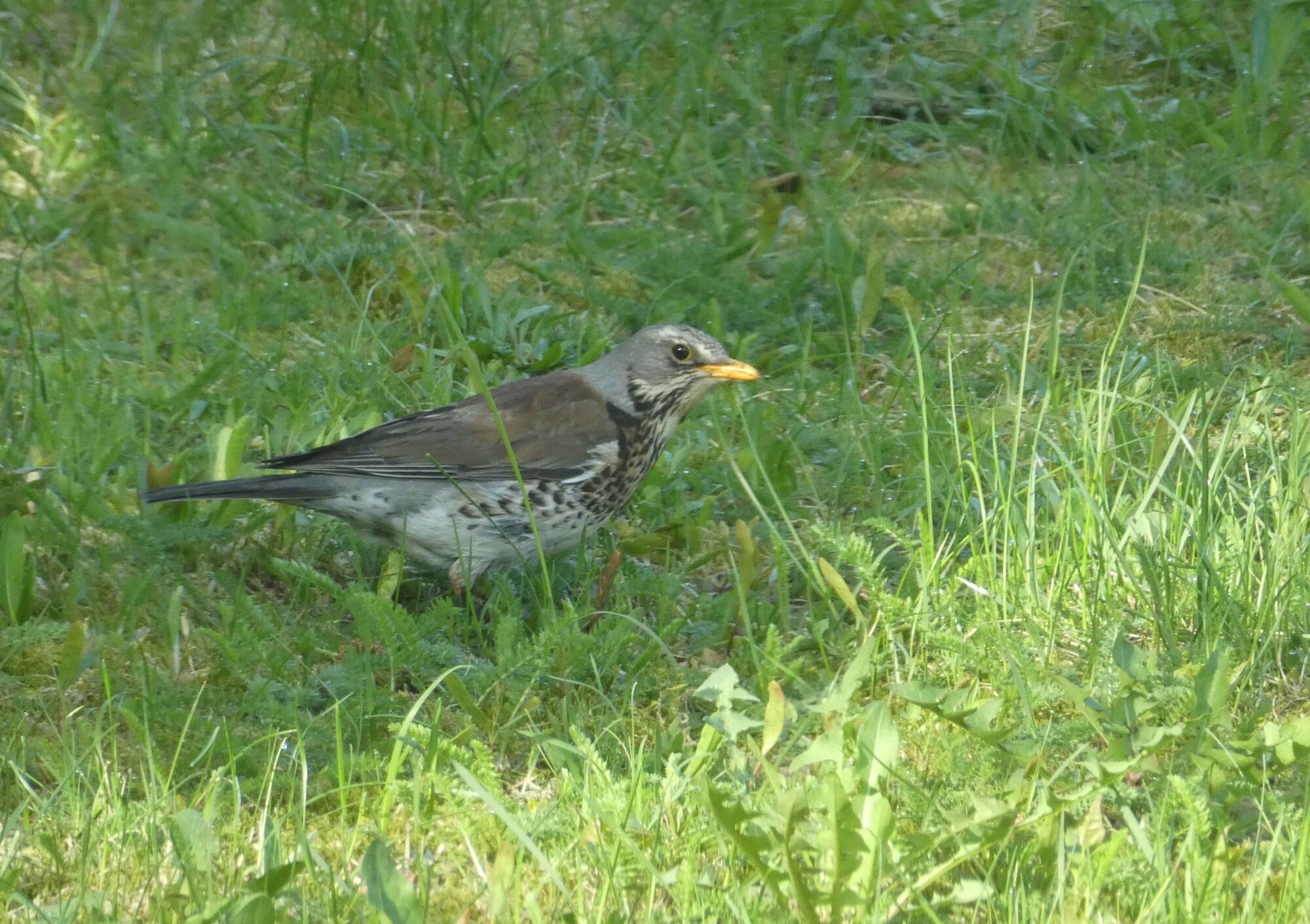 Valokuvaaja: Anja Mustamaa