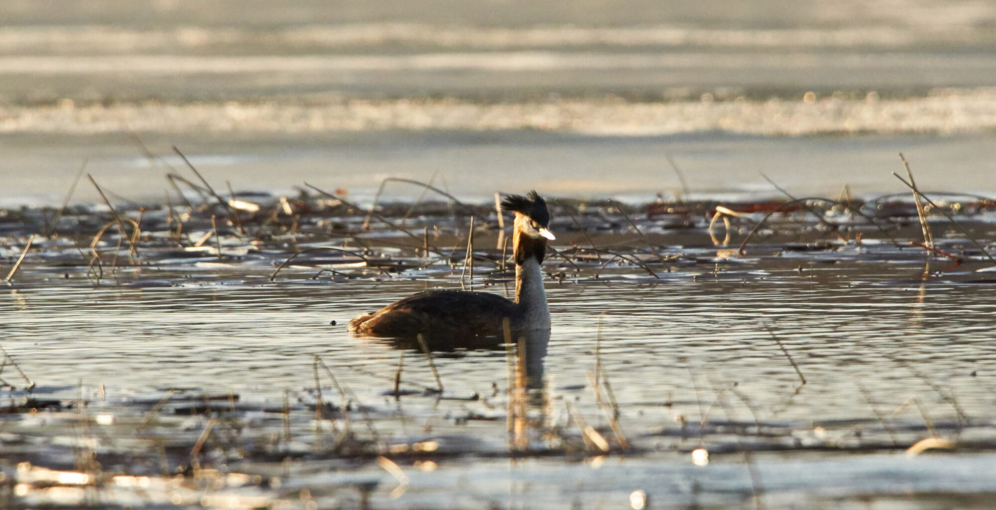 Valokuvaaja: Tarja Kouvo